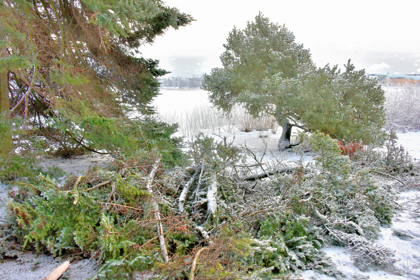 Valokuvaaja: Reijo Juurinen