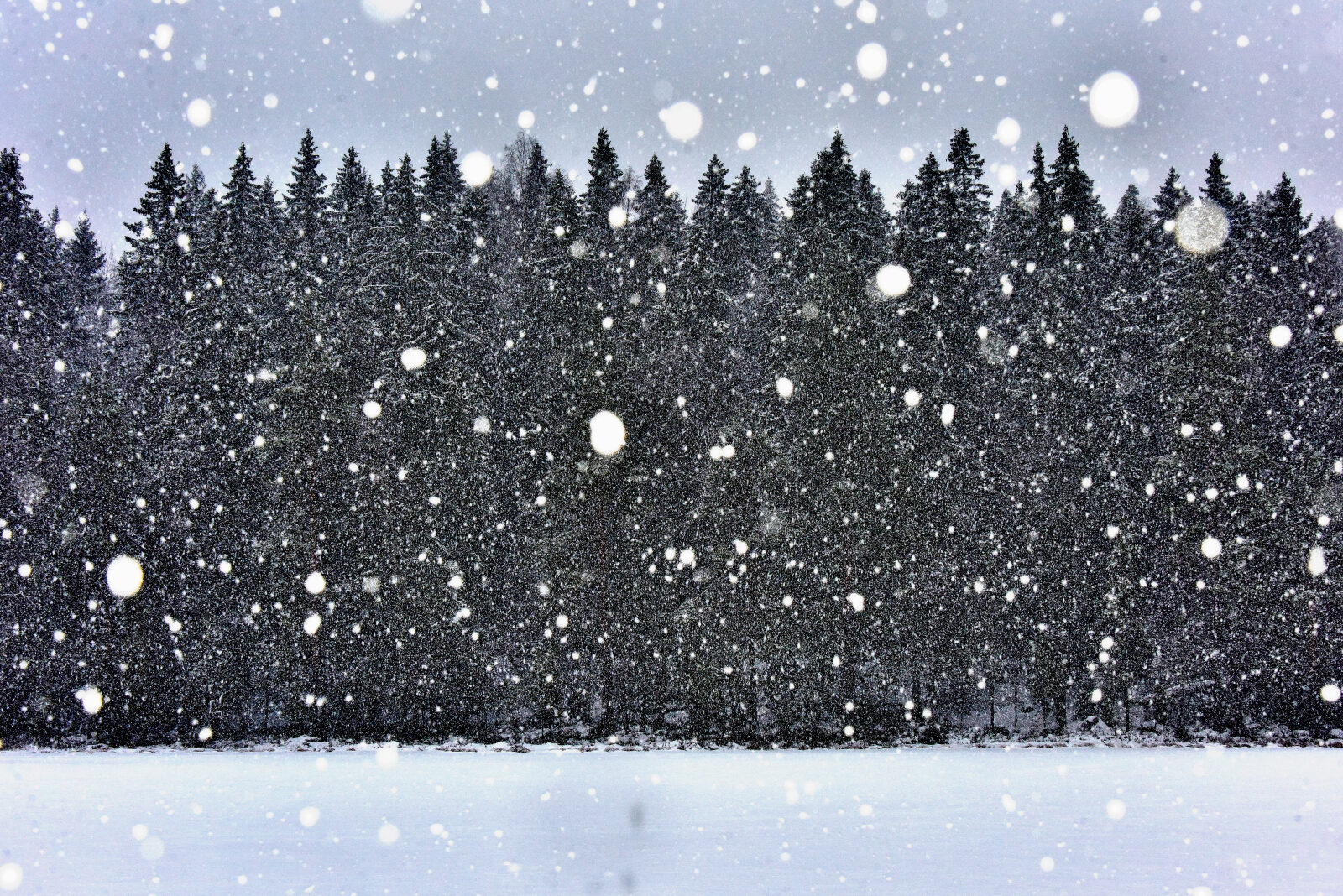 Valokuvaaja: Reijo Juurinen