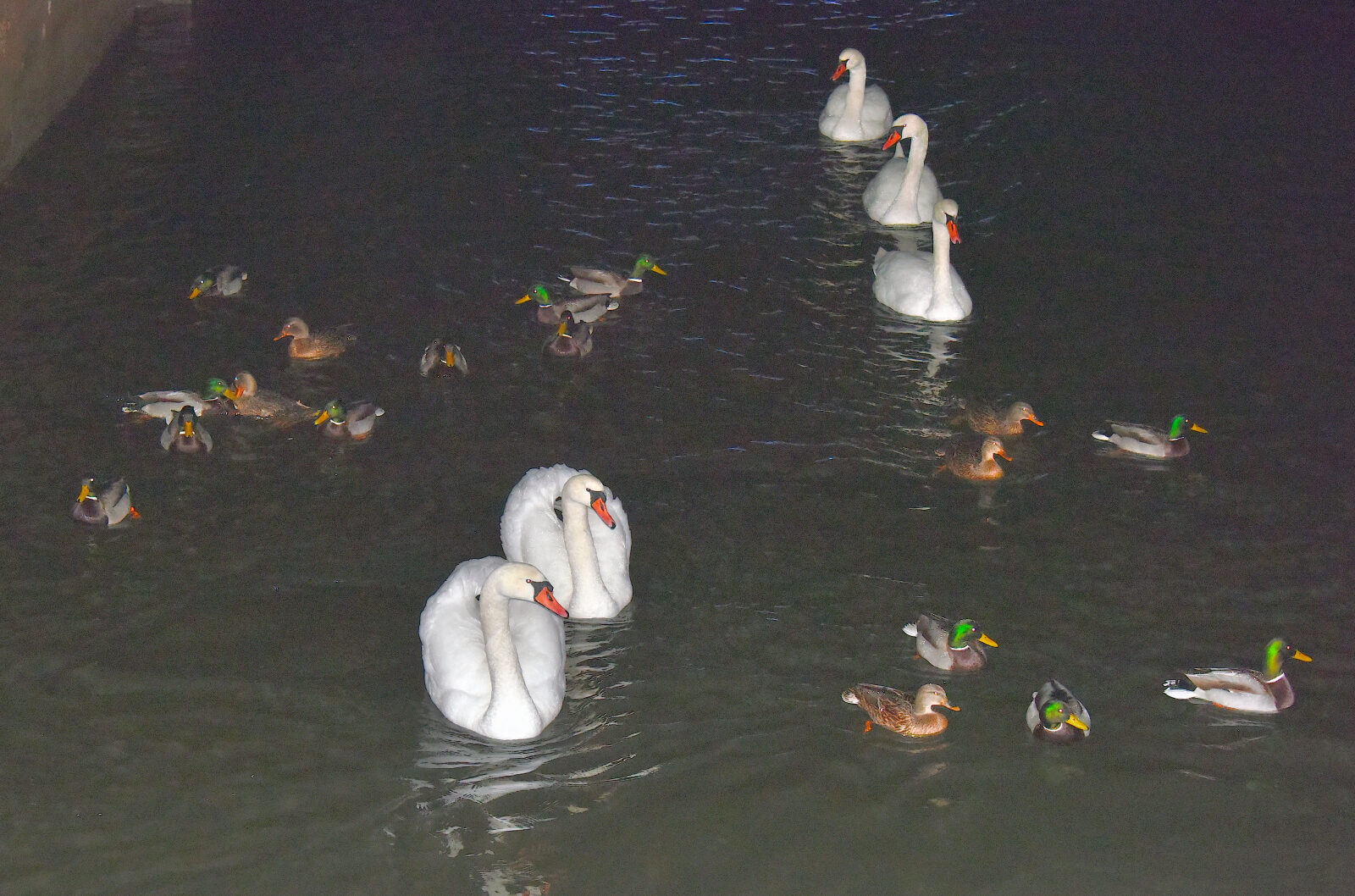 Valokuvaaja: Reijo Juurinen Valokuvaaja: Reijo Juurinen