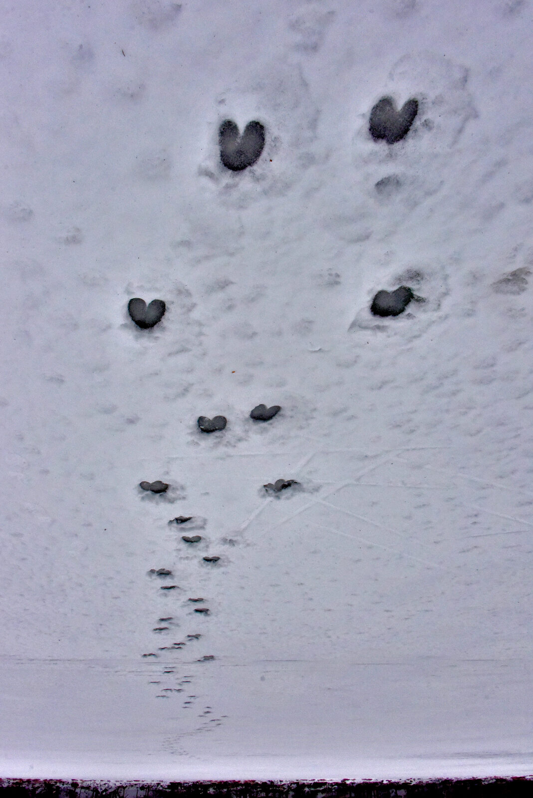 Valokuvaaja: Reijo Juurinen