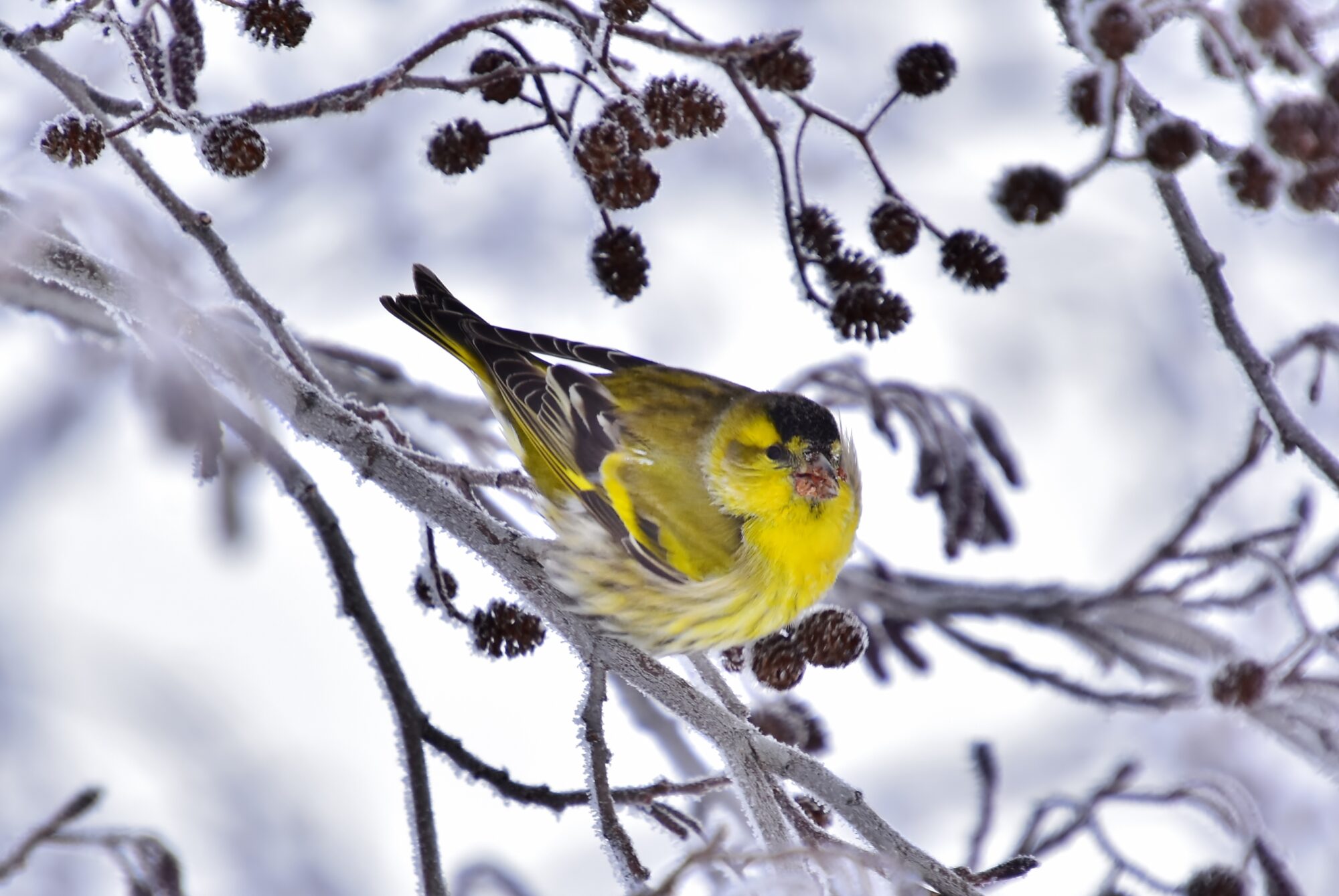 Valokuvaaja: Markku Pelkonen