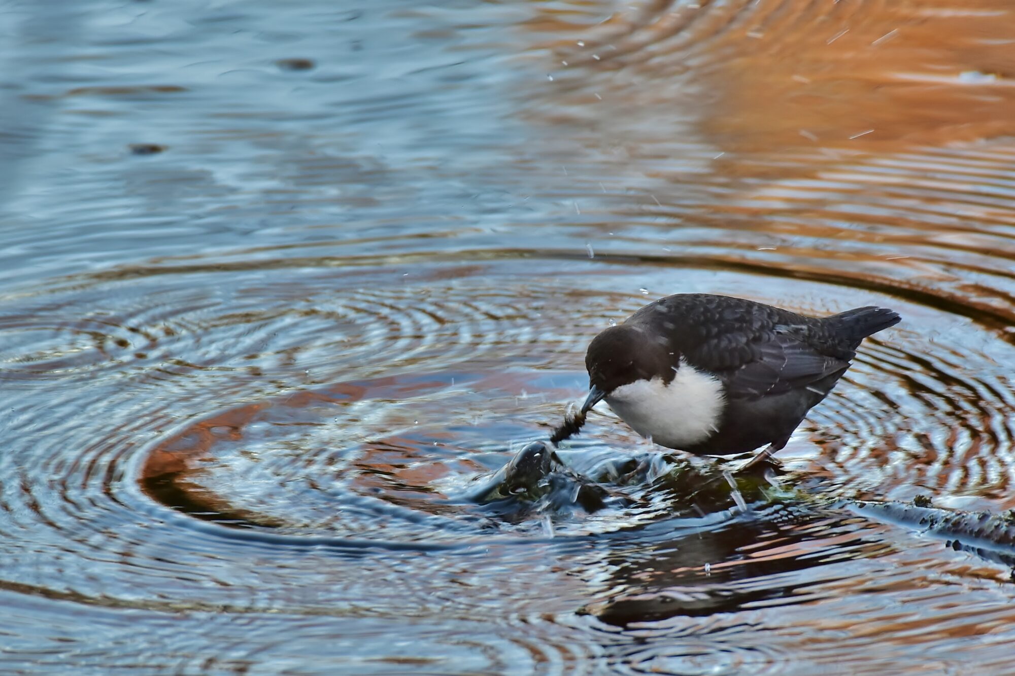 Valokuvaaja: Markku Pelkonen