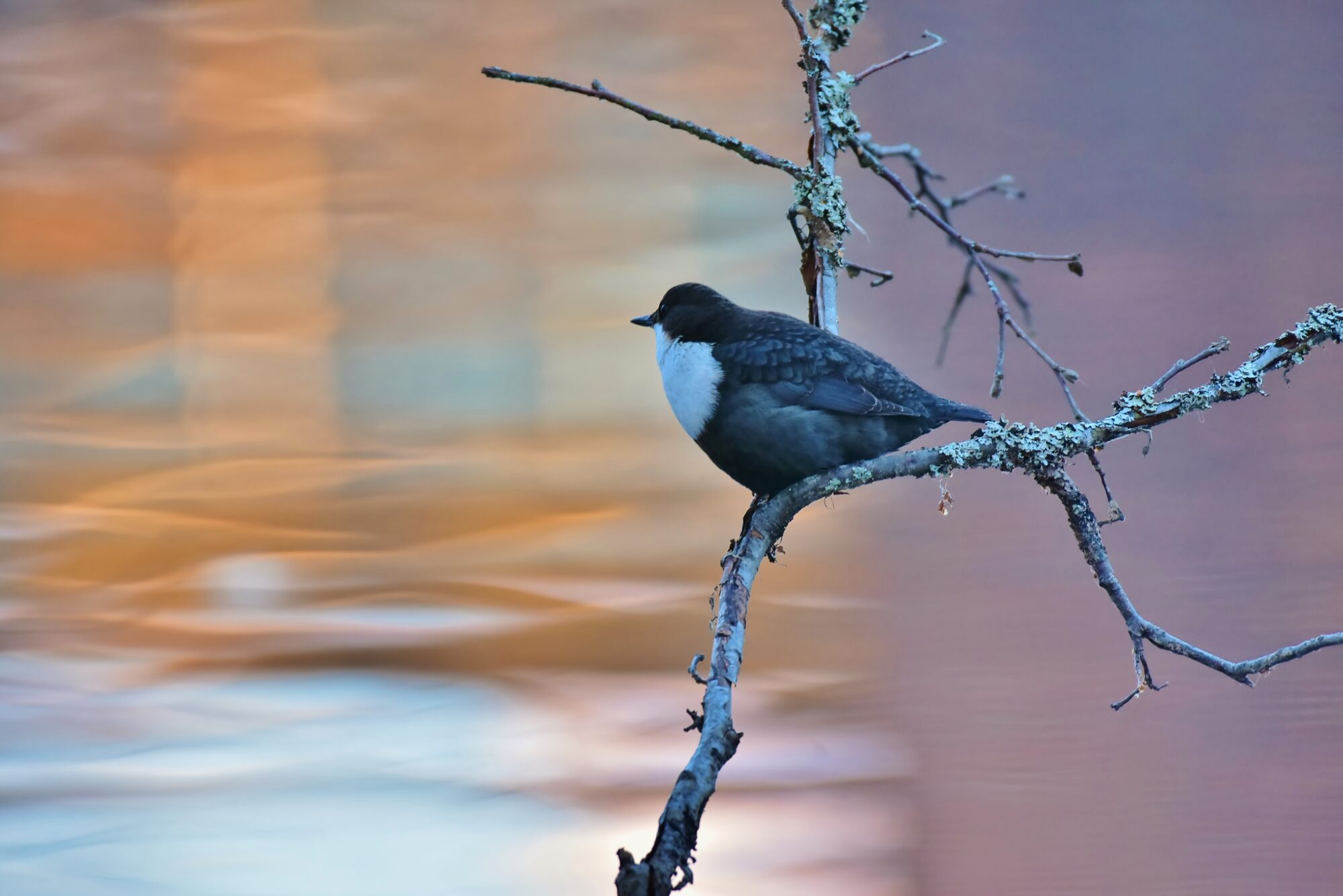 Valokuvaaja: Markku Pelkonen
