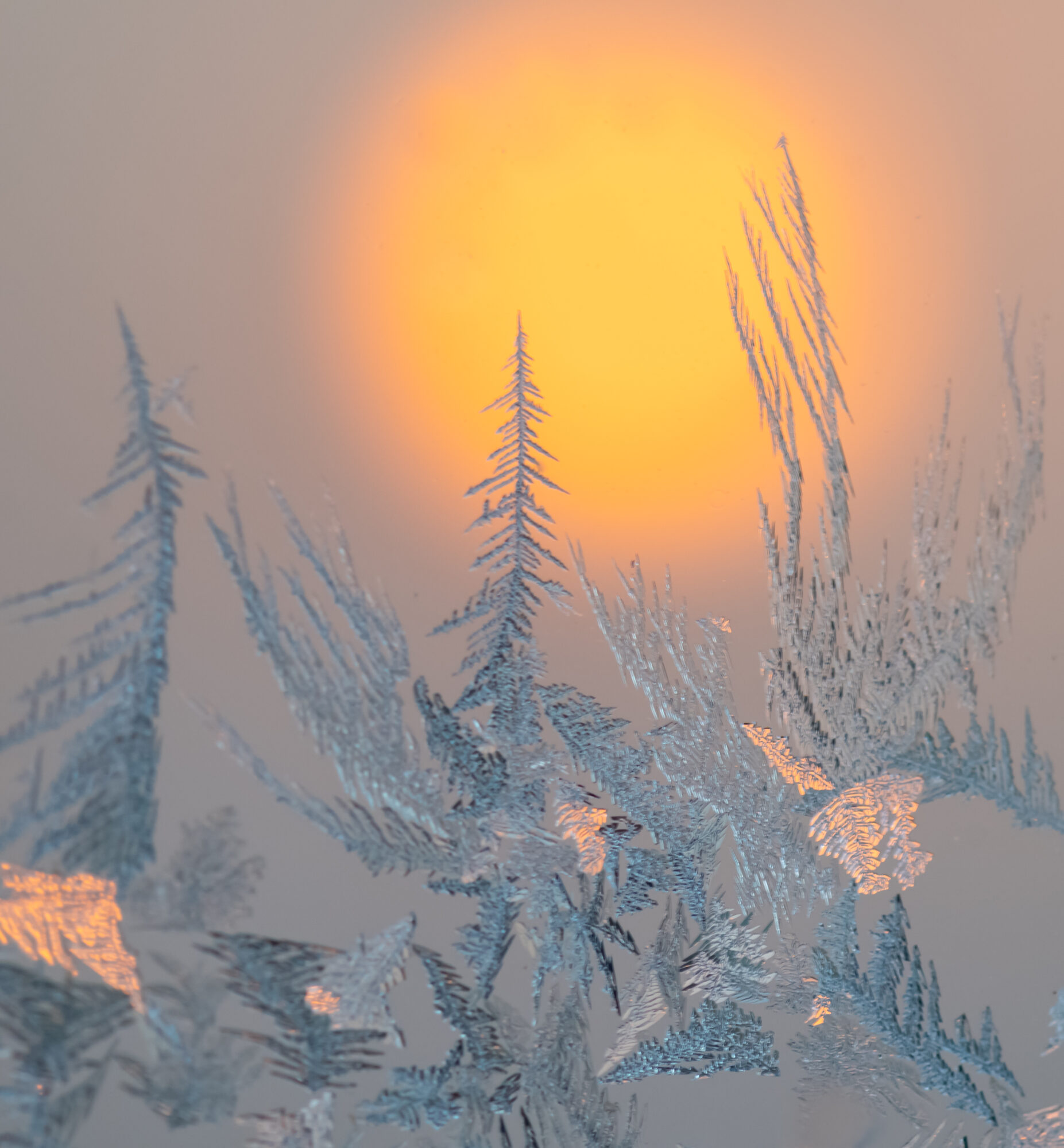 Valokuvaaja: Leena Rissanen Valokuvaaja: Leena Rissanen