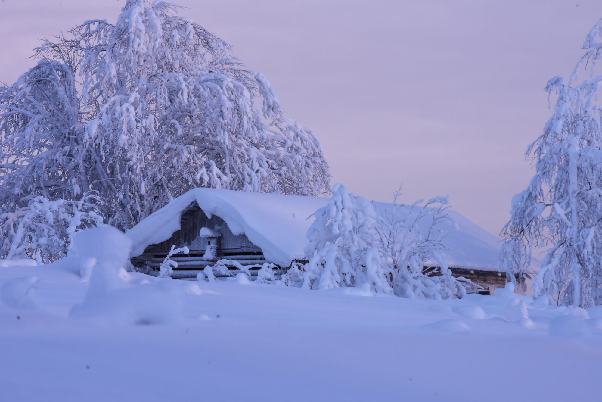 Valokuvaaja: Maija Savolainen Valokuvaaja: Maija Savolainen