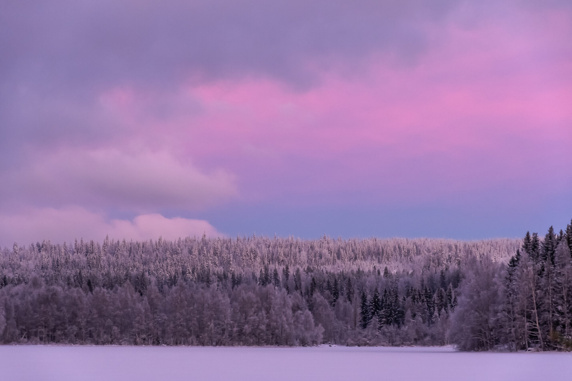 Valokuvaaja: Leena Rissanen