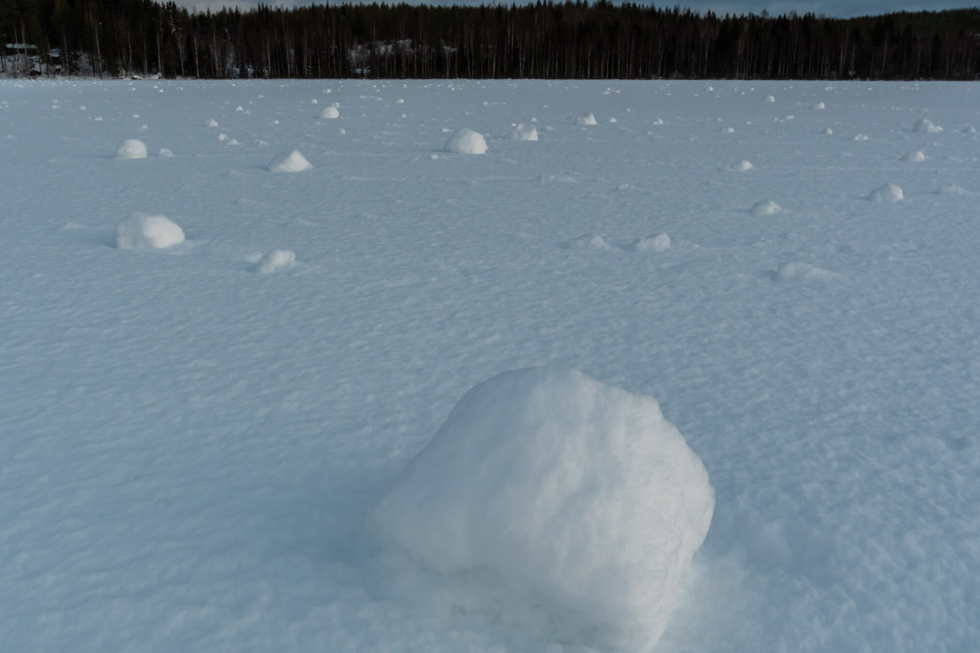 Valokuvaaja: Leena Rissanen