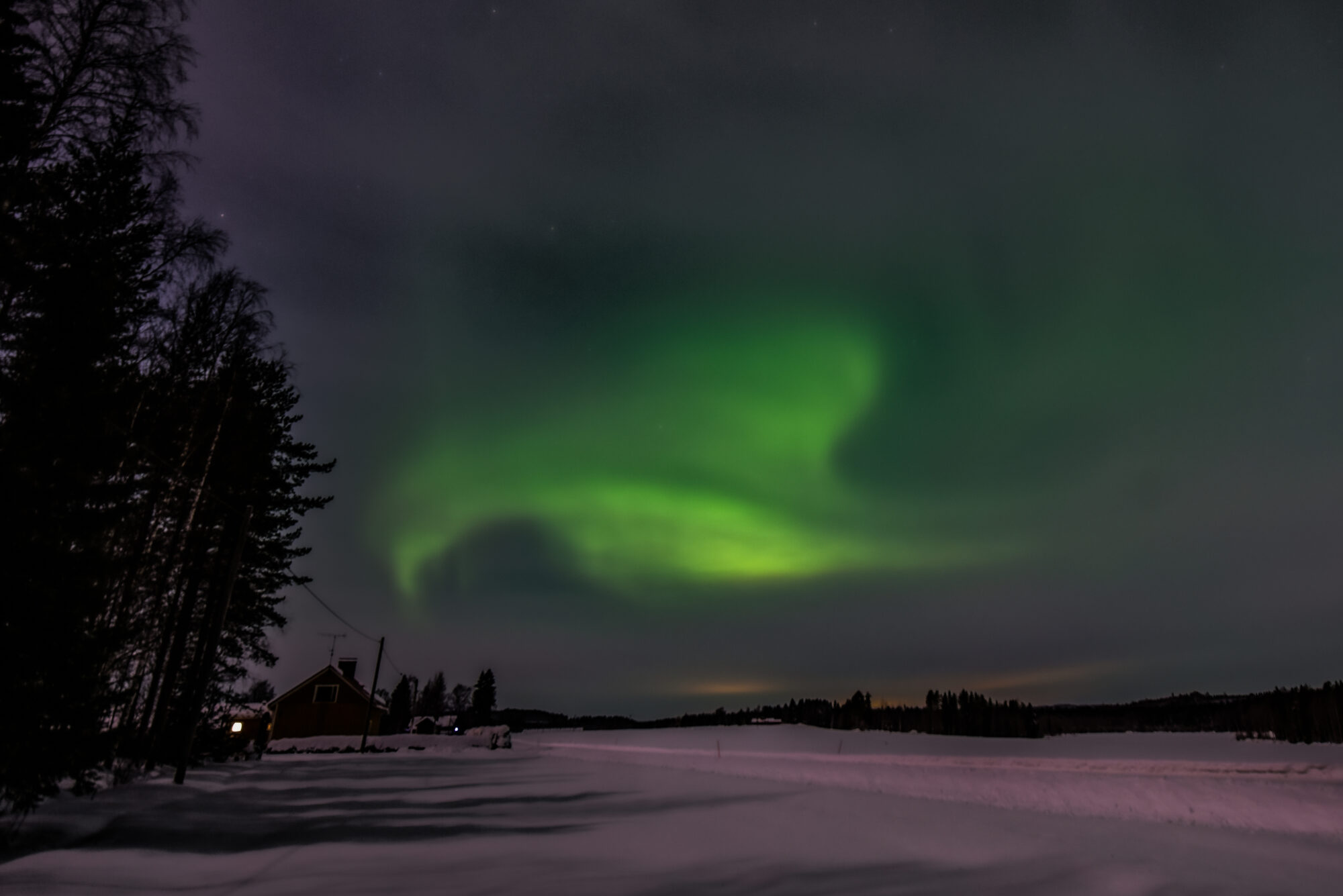 Valokuvaaja: Maija Savolainen