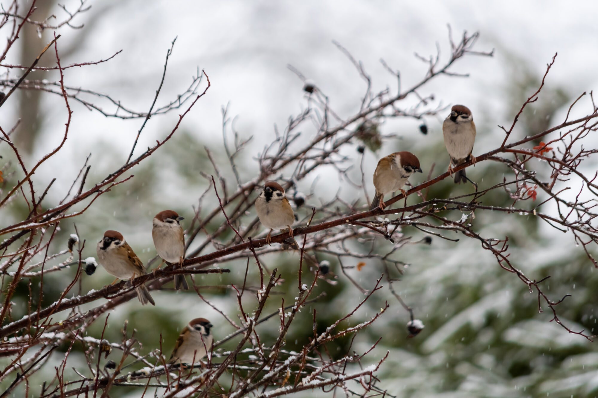 Valokuvaaja: Leena Rissanen