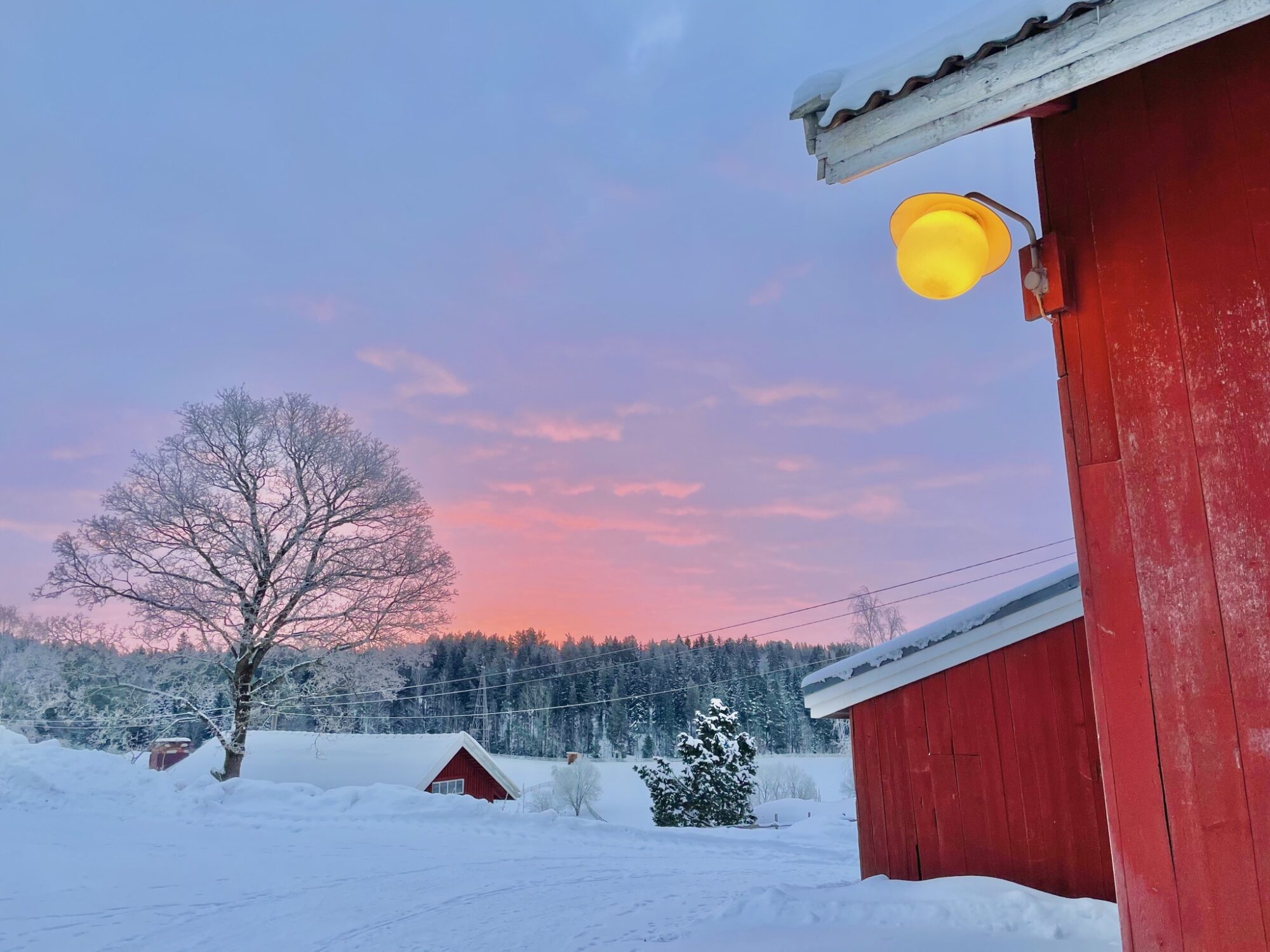 Valokuvaaja: Juhani Peltonen