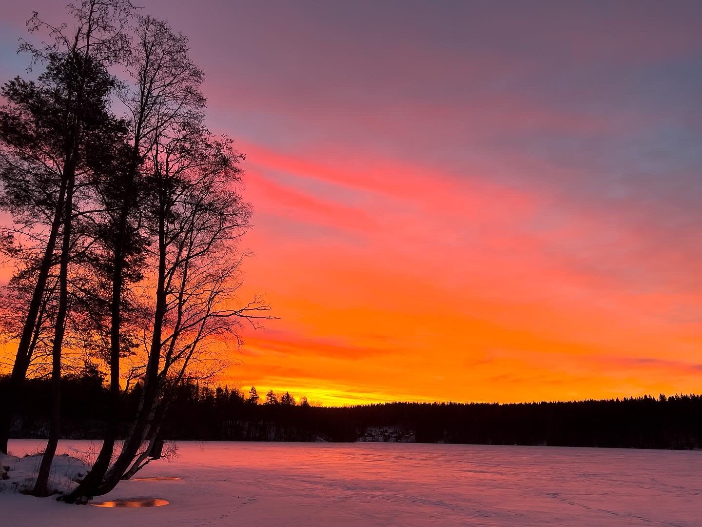 Valokuvaaja: Anne Helena Patana