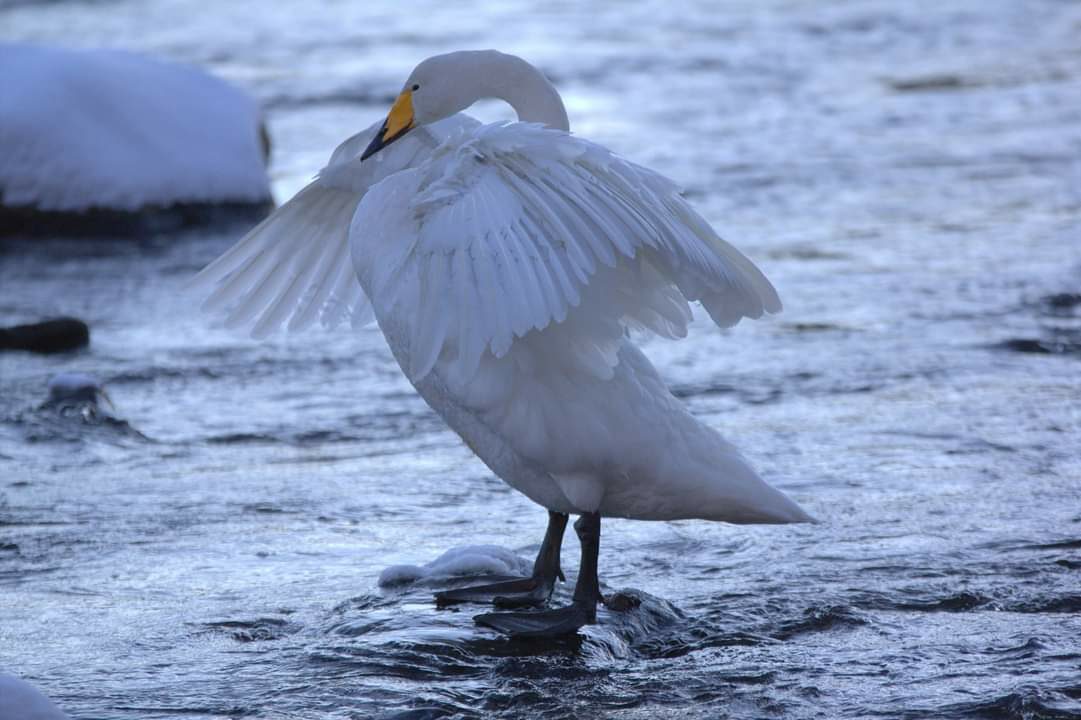 Valokuvaaja: Tapio Keinonen