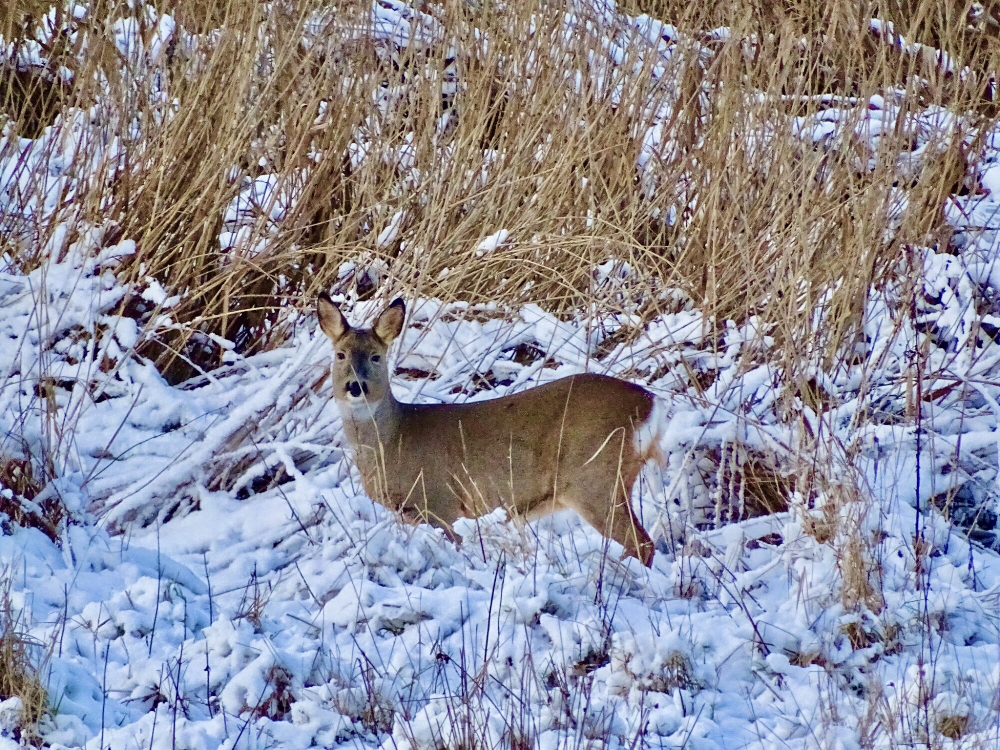 Valokuvaaja: Juhani Peltonen