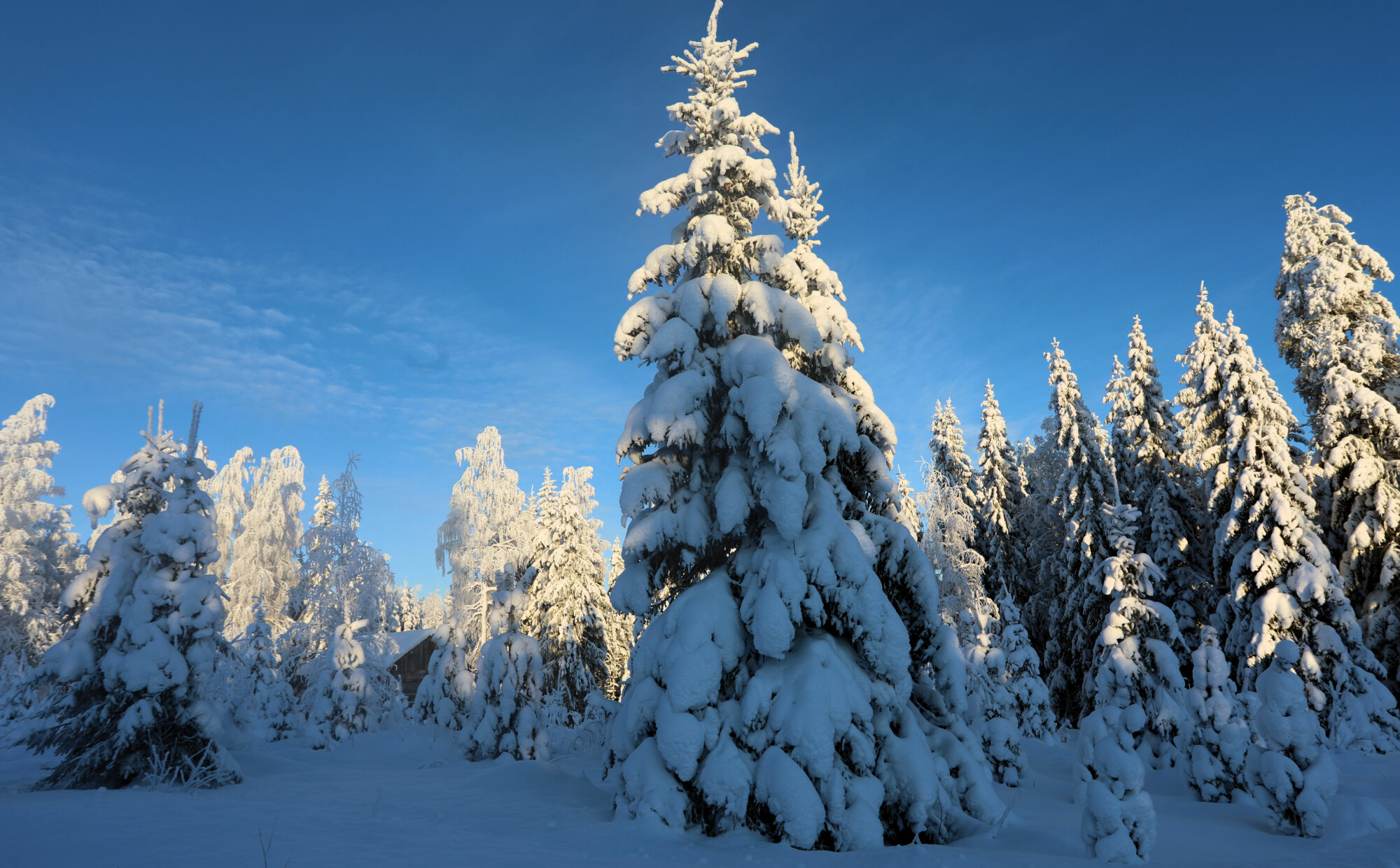 Valokuvaaja: Ahti Keränen