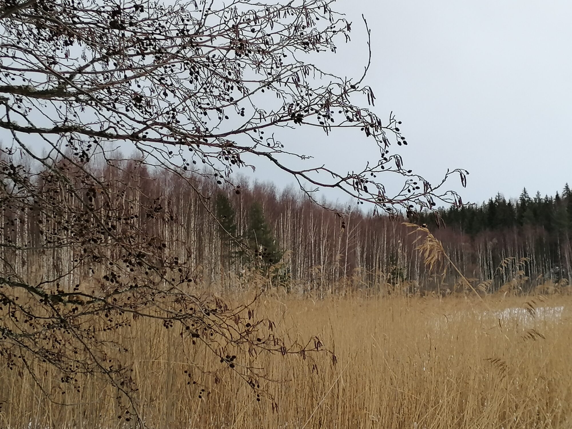 Valokuvaaja: Kaija Halonen