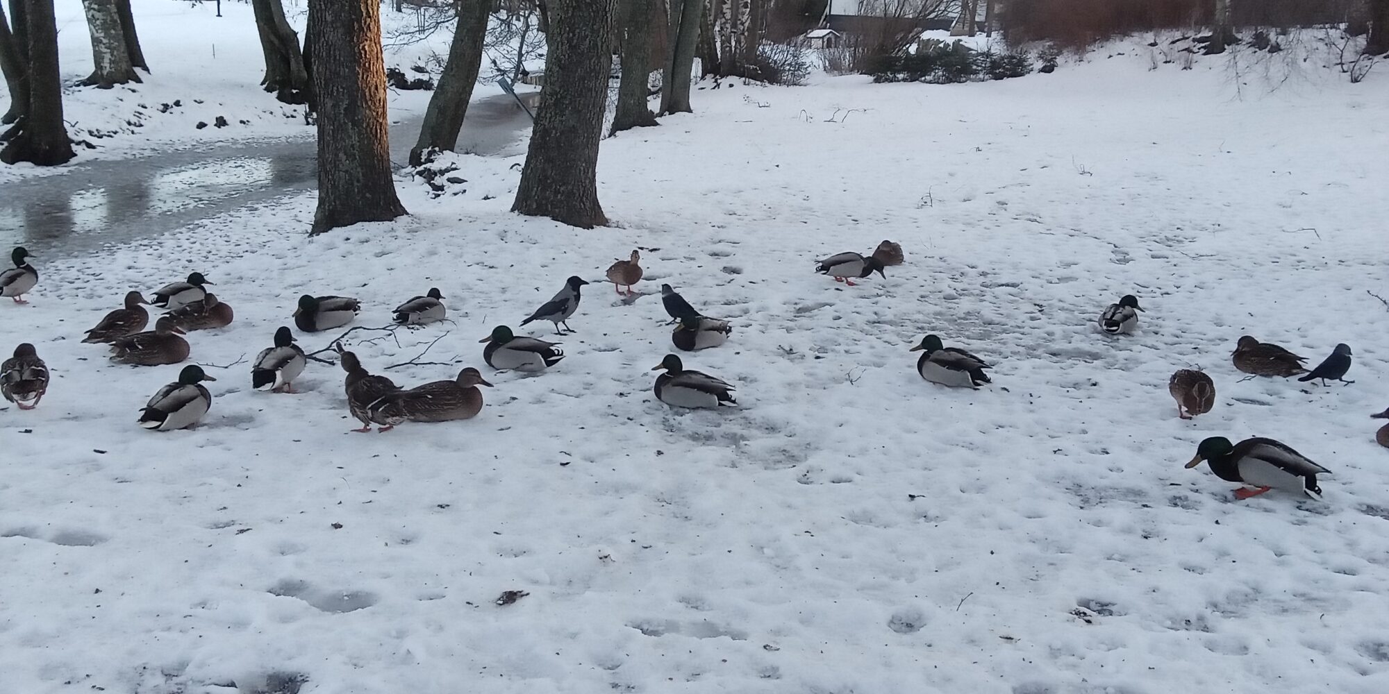Valokuvaaja: Alvar Ilomonen Valokuvaaja: Alvar Ilomonen