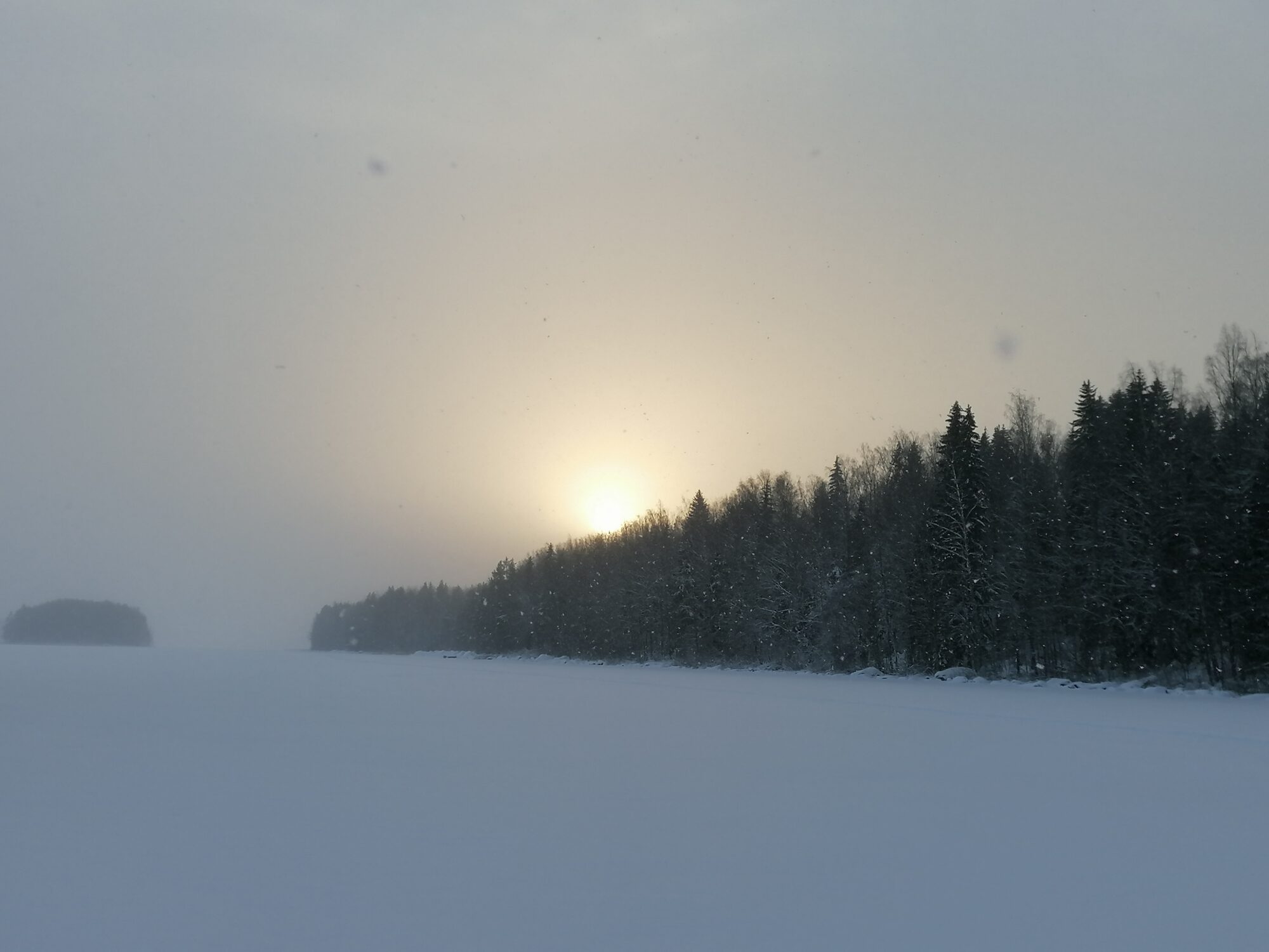 Valokuvaaja: Kaija Halonen