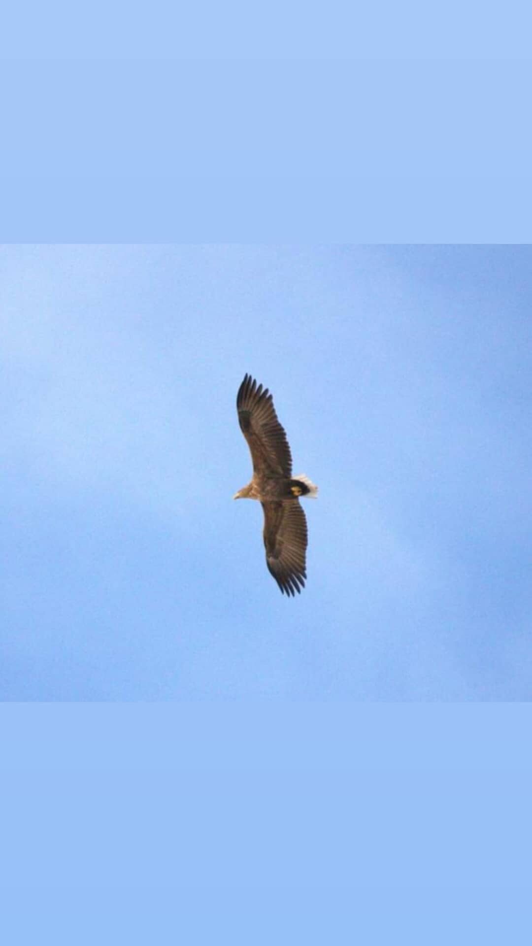 Valokuvaaja: Tapio Keinonen