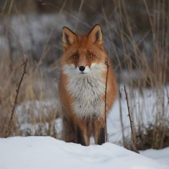 Valokuvaaja: Riitta Marjamäki Valokuvaaja: Riitta Marjamäki