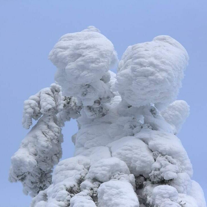 Valokuvaaja: Tapio Keinonen