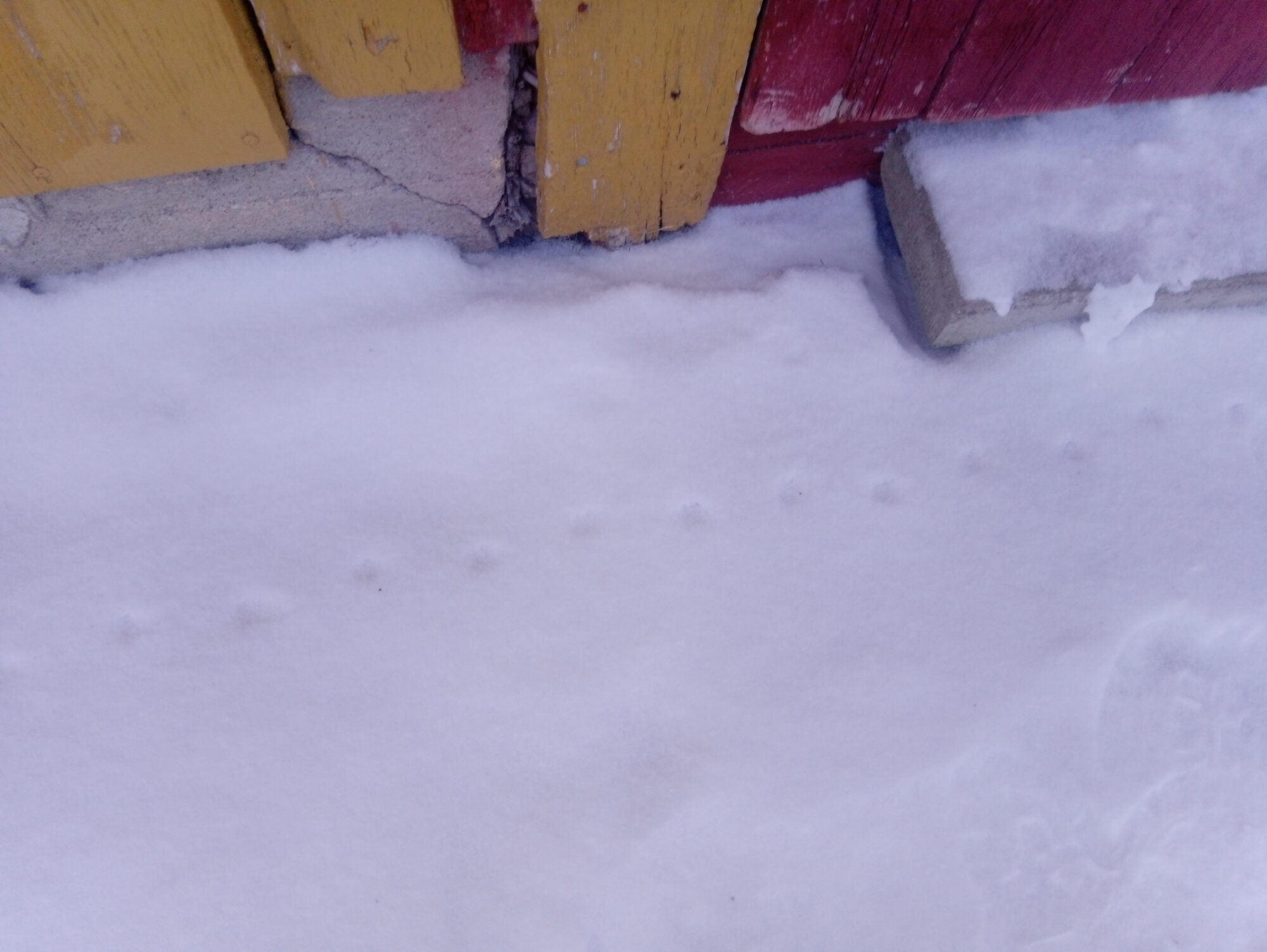 Valokuvaaja: Matti  Övermark