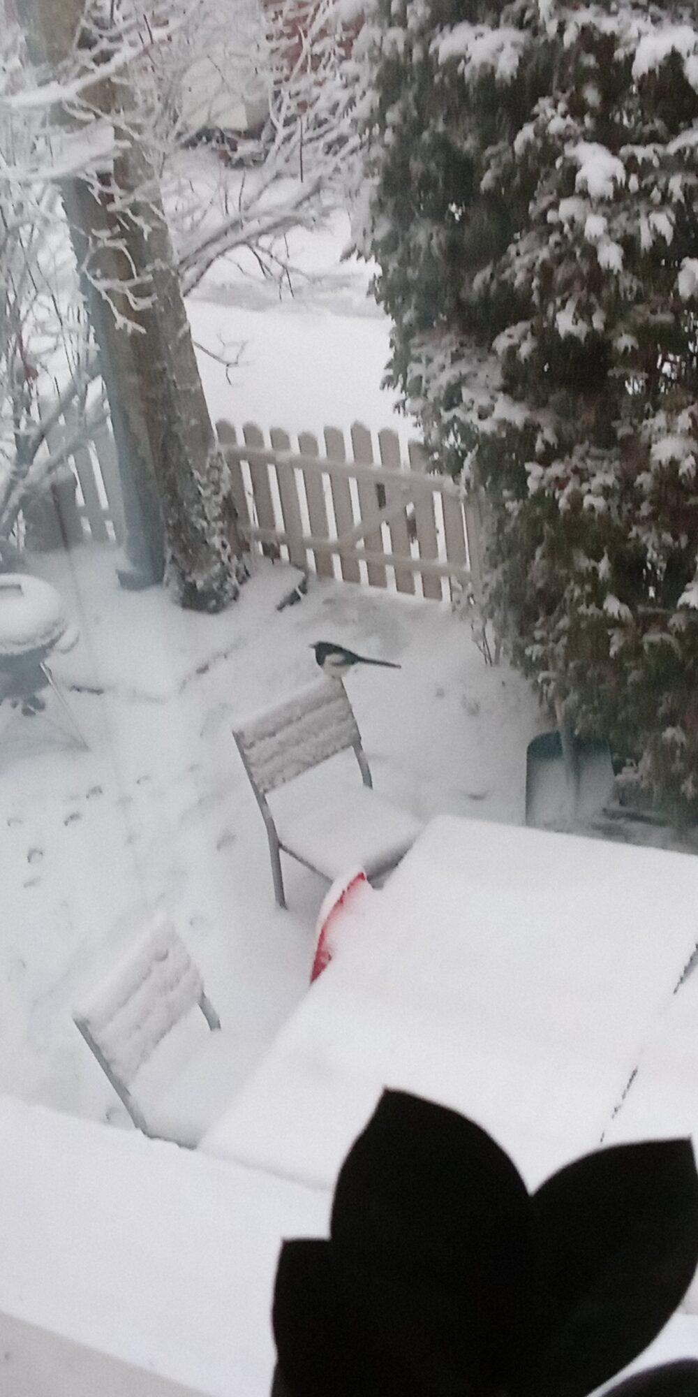 Valokuvaaja: Alvar Ilmonen