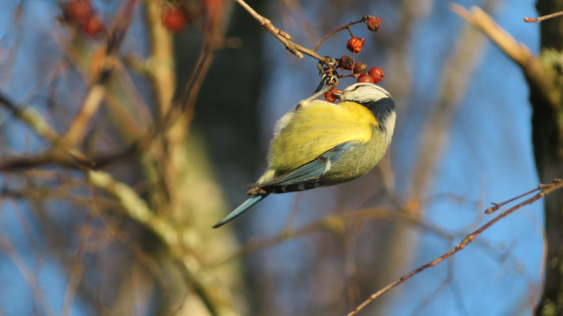 Valokuvaaja: Risto Kangassalo