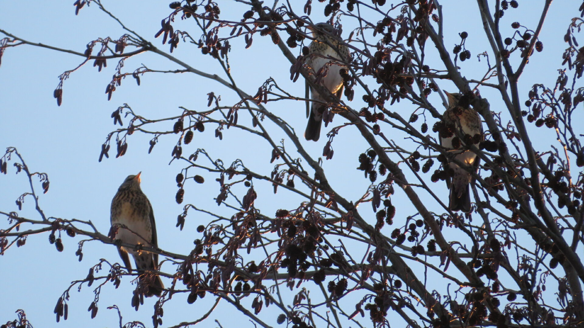 Valokuvaaja: Risto Kangassalo