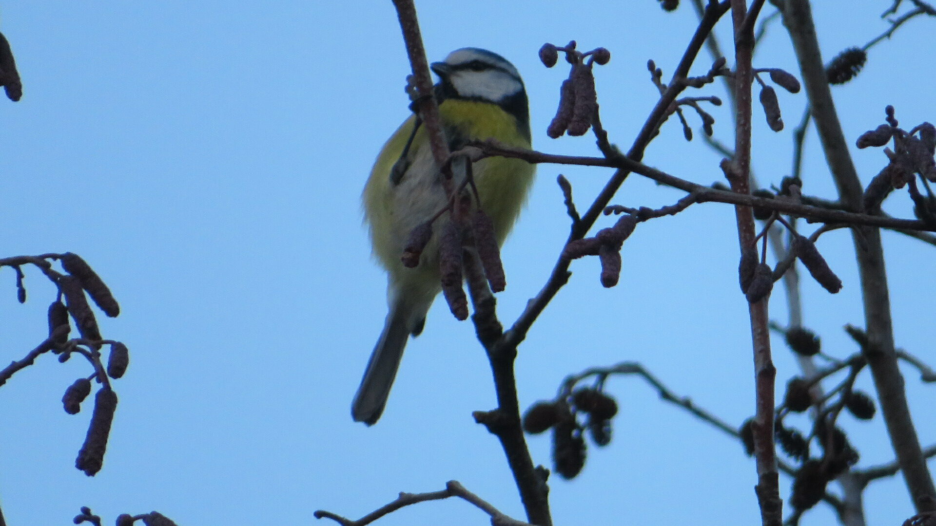 Valokuvaaja: Risto Kangassalo