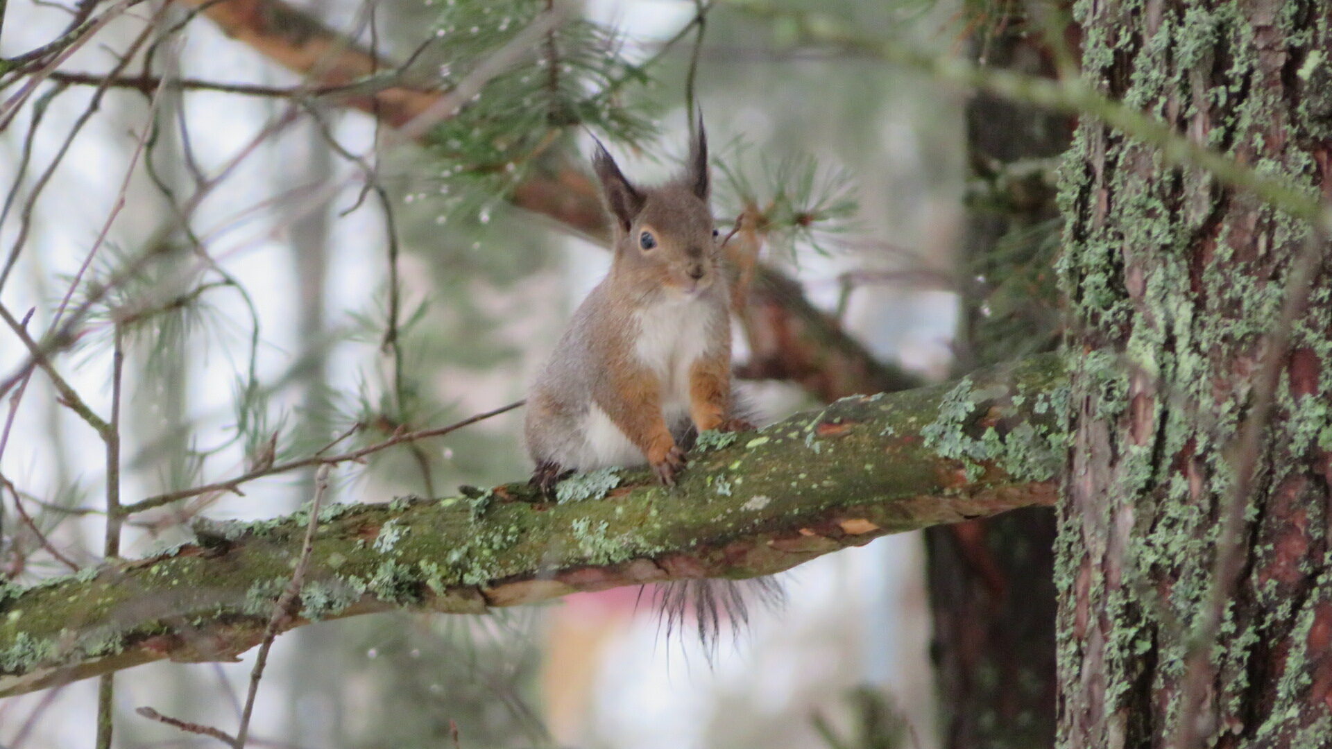 Valokuvaaja: Risto Kangassalo