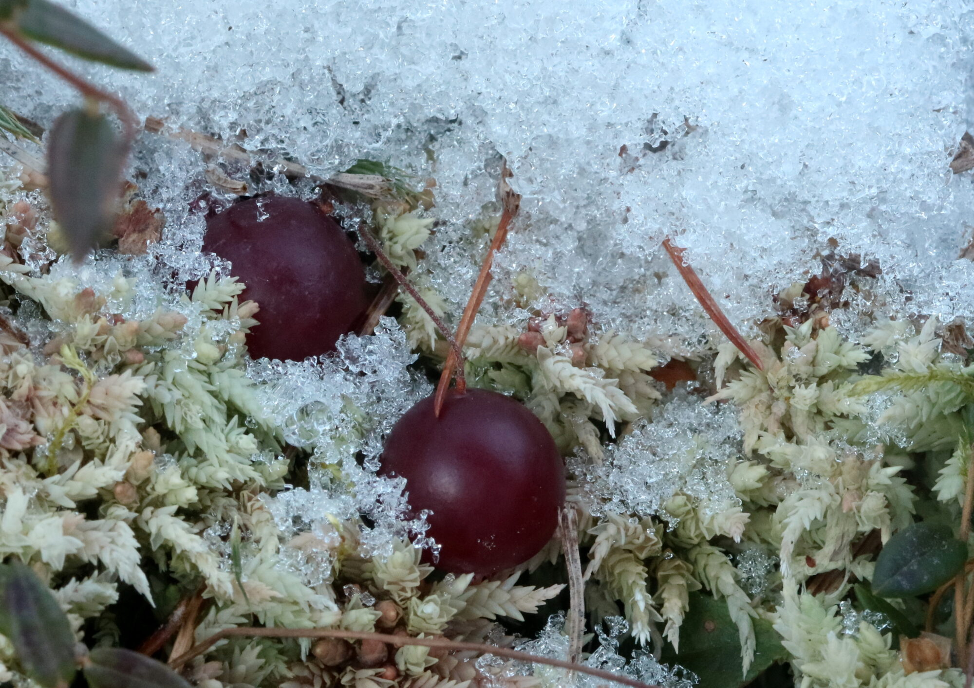 Valokuvaaja: Hannu Rasiranta