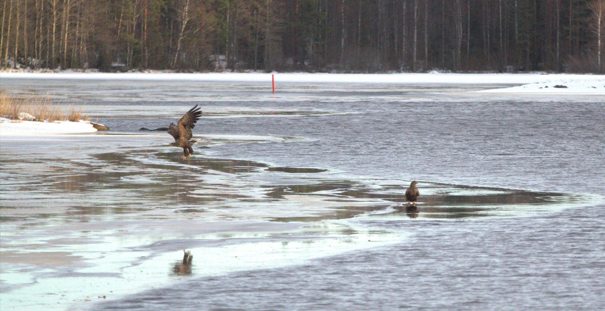 Valokuvaaja: tapio keinonen