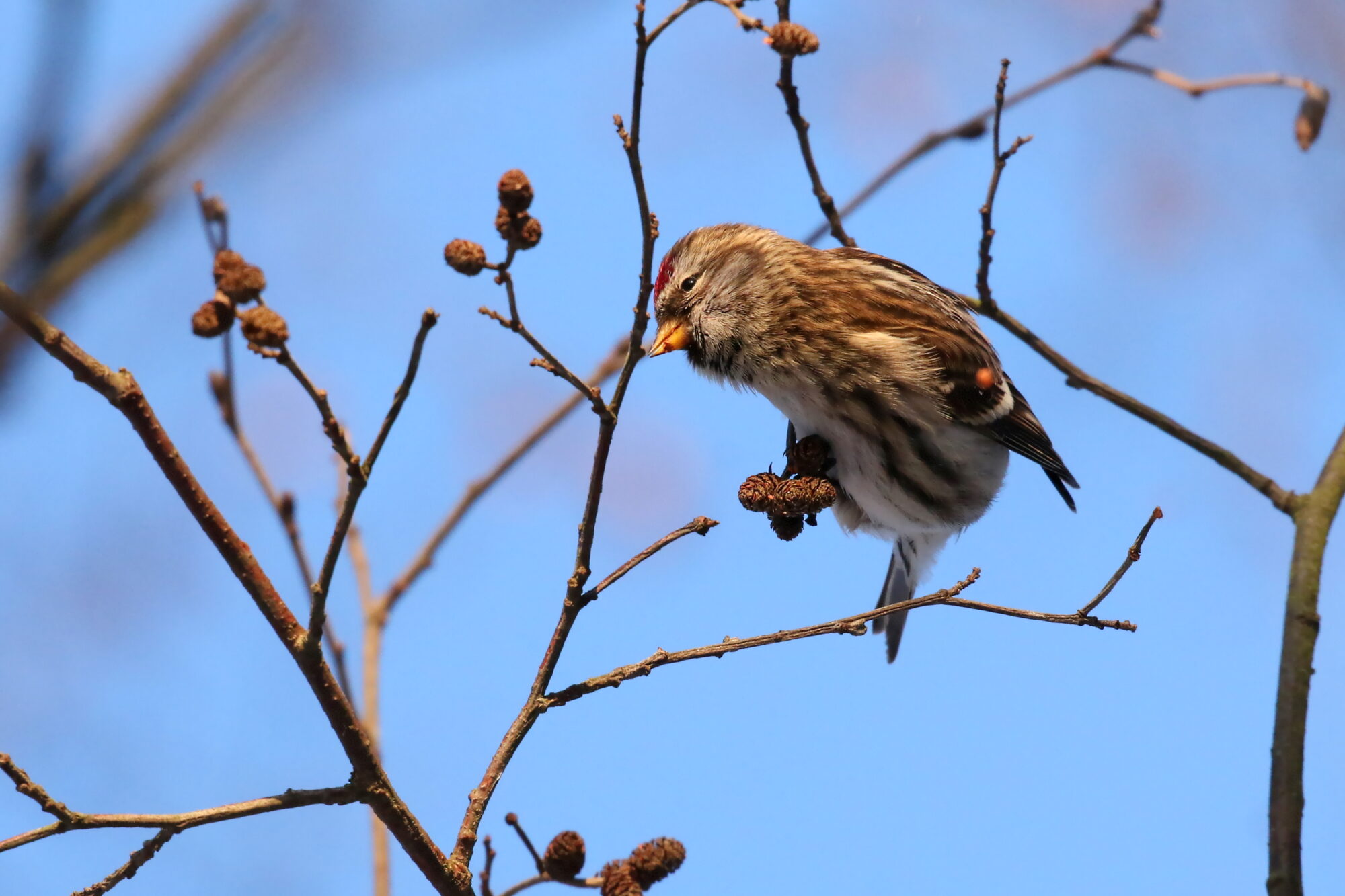 Valokuvaaja: Antero Tykkyläinen
