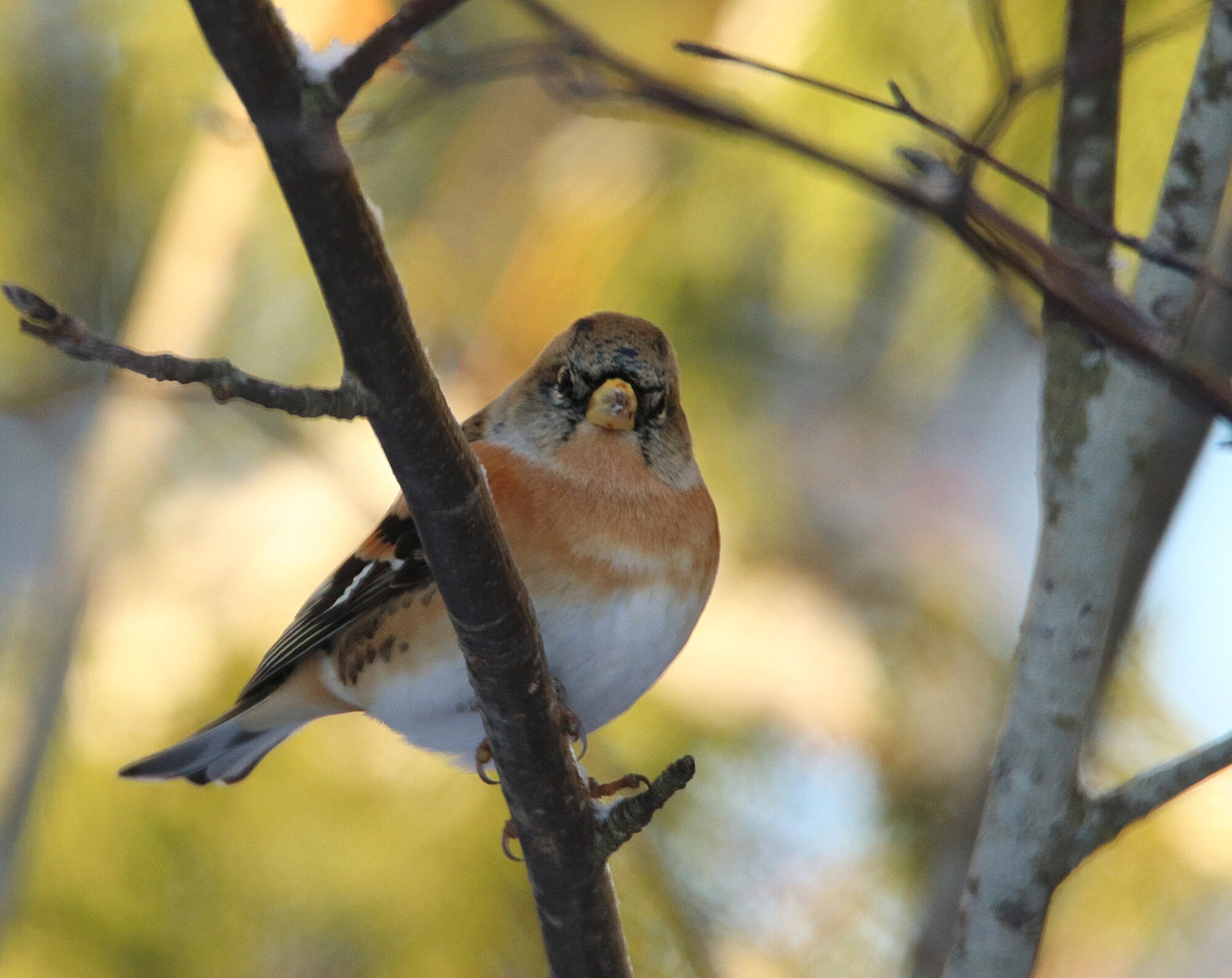 Valokuvaaja: Irja Lehtinen