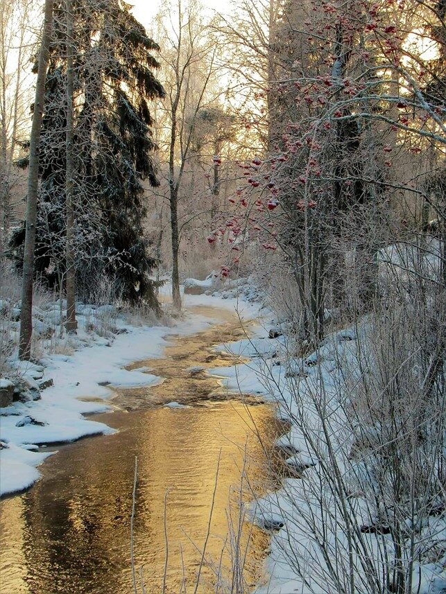 Valokuvaaja: Marja-Liisa Ala-Salomäki