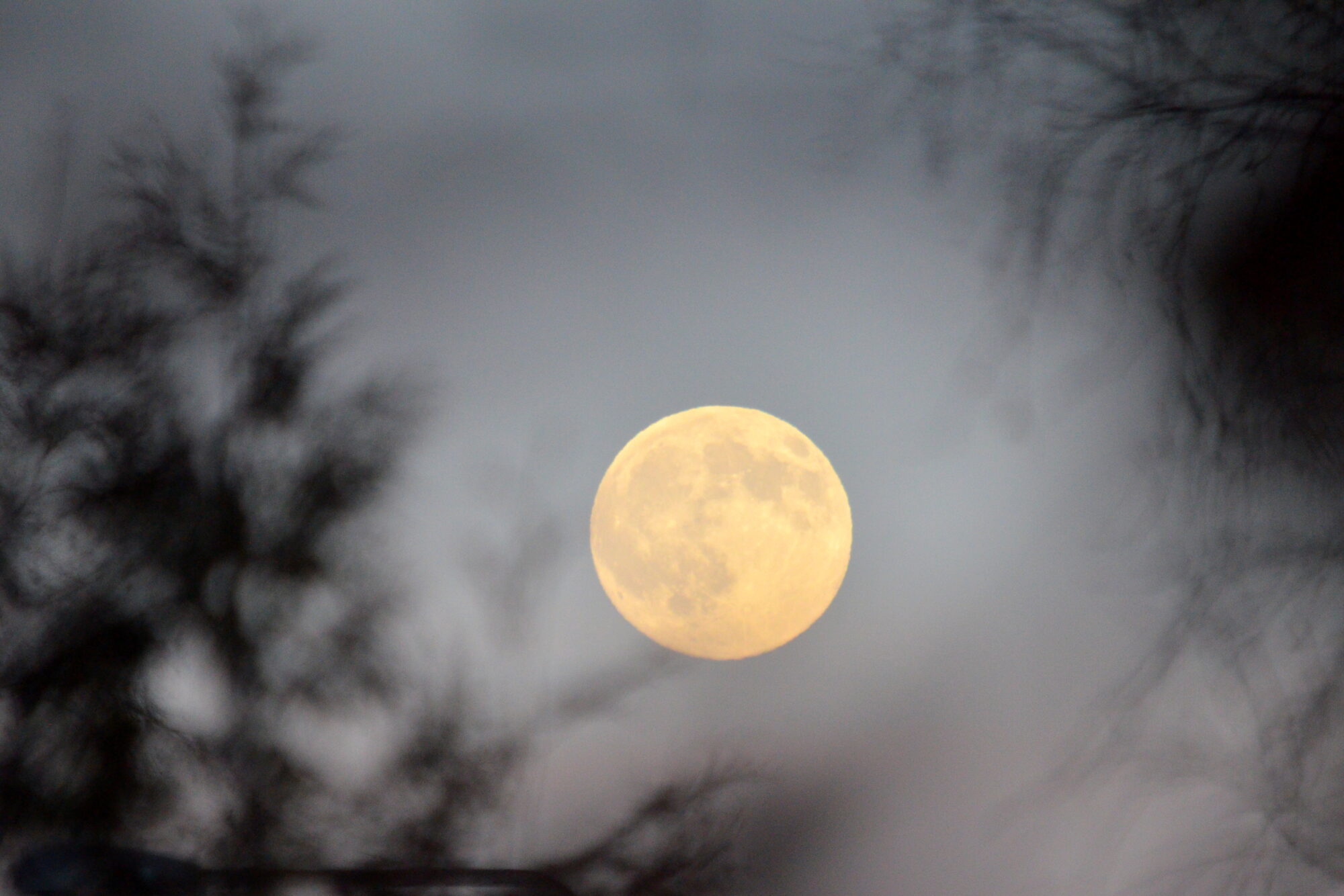 Valokuvaaja: Kaarlo Asikainen