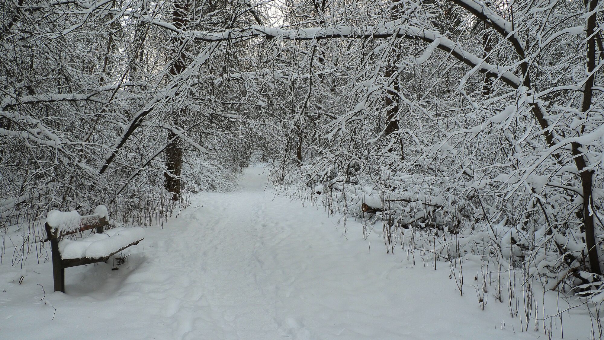 Valokuvaaja: Arja Valtonen