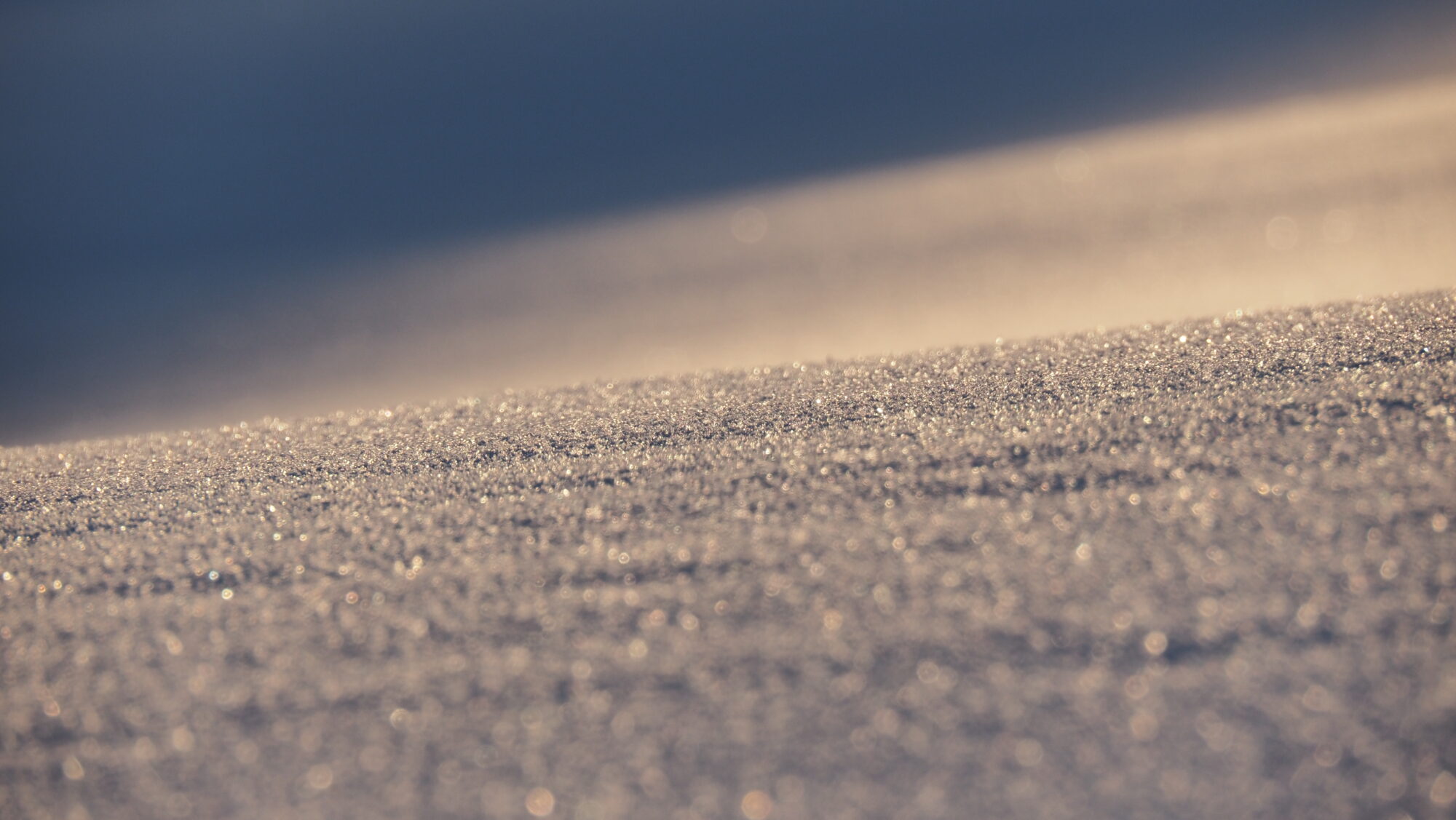 Valokuvaaja: Arja Valtonen