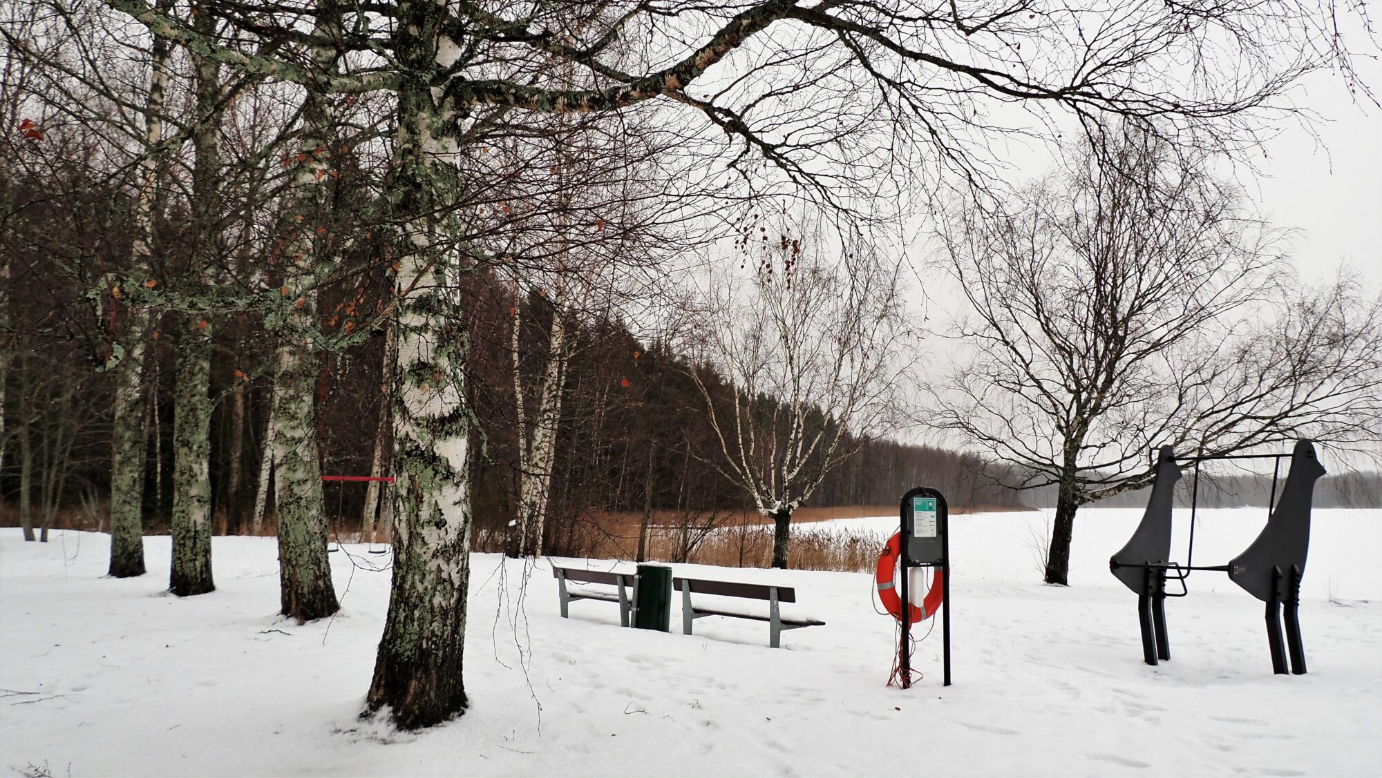Valokuvaaja: Arja Valtonen Valokuvaaja: Arja Valtonen