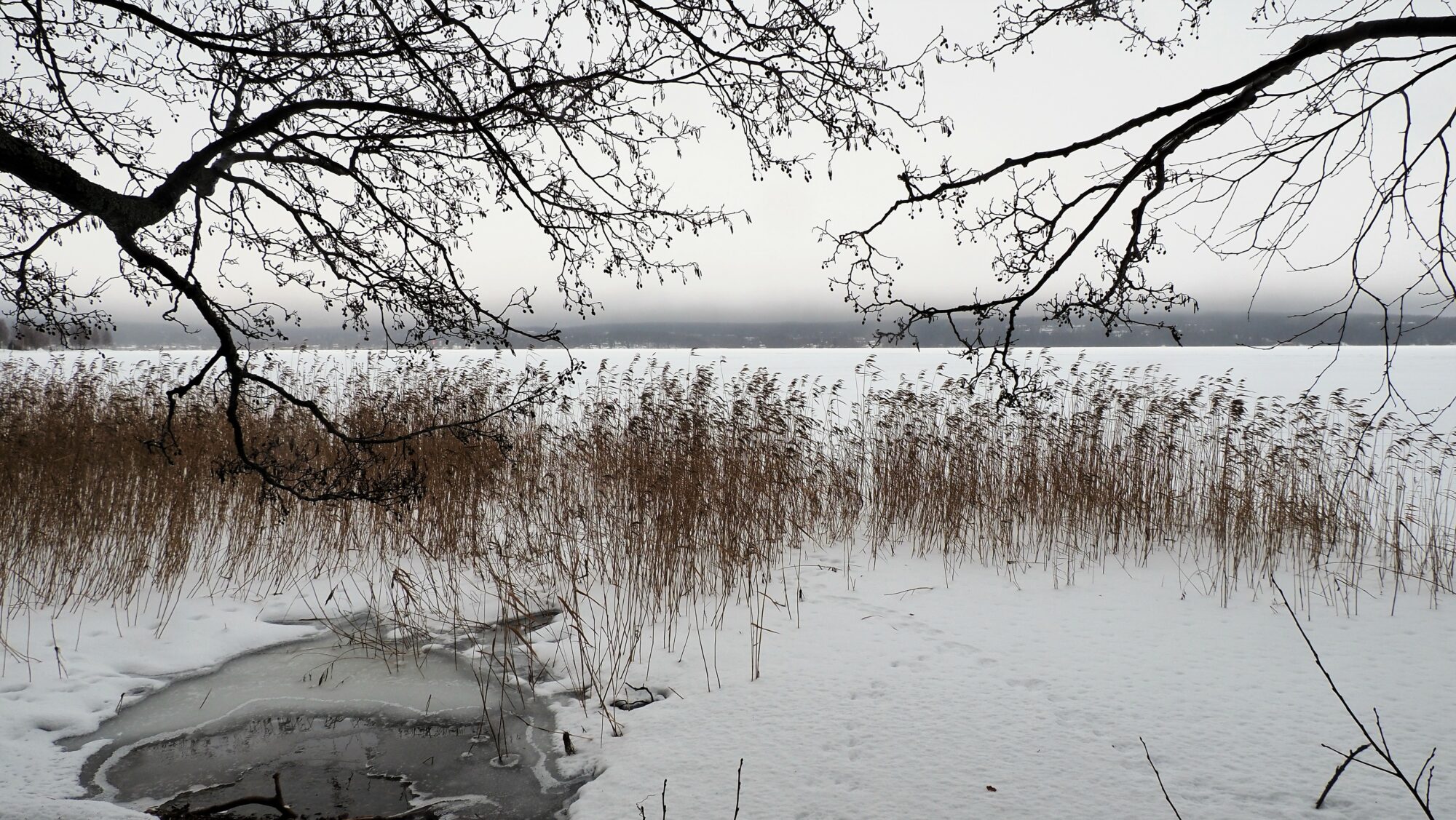 Valokuvaaja: Arja Valtonen