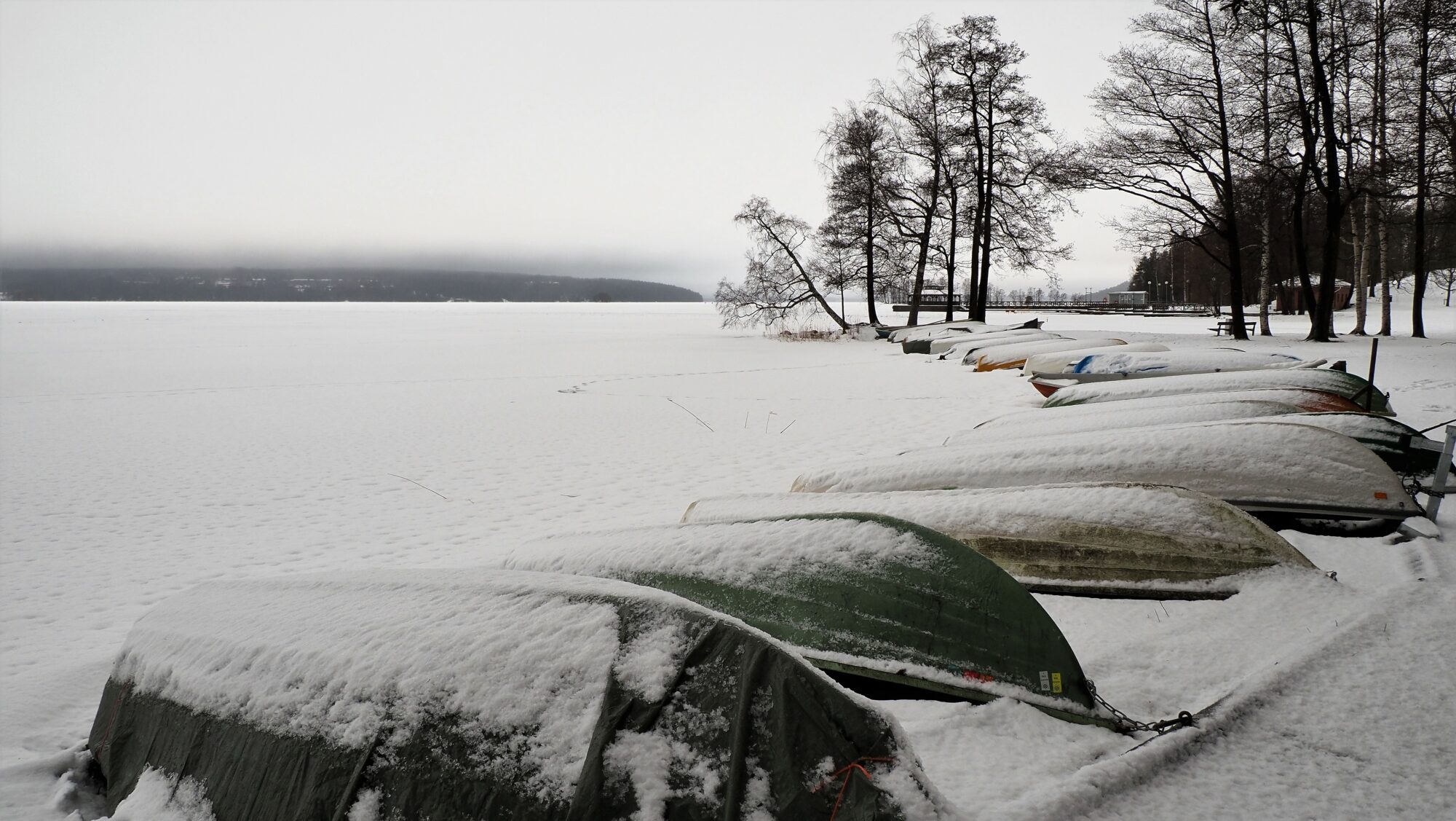 Valokuvaaja: Arja Valtonen