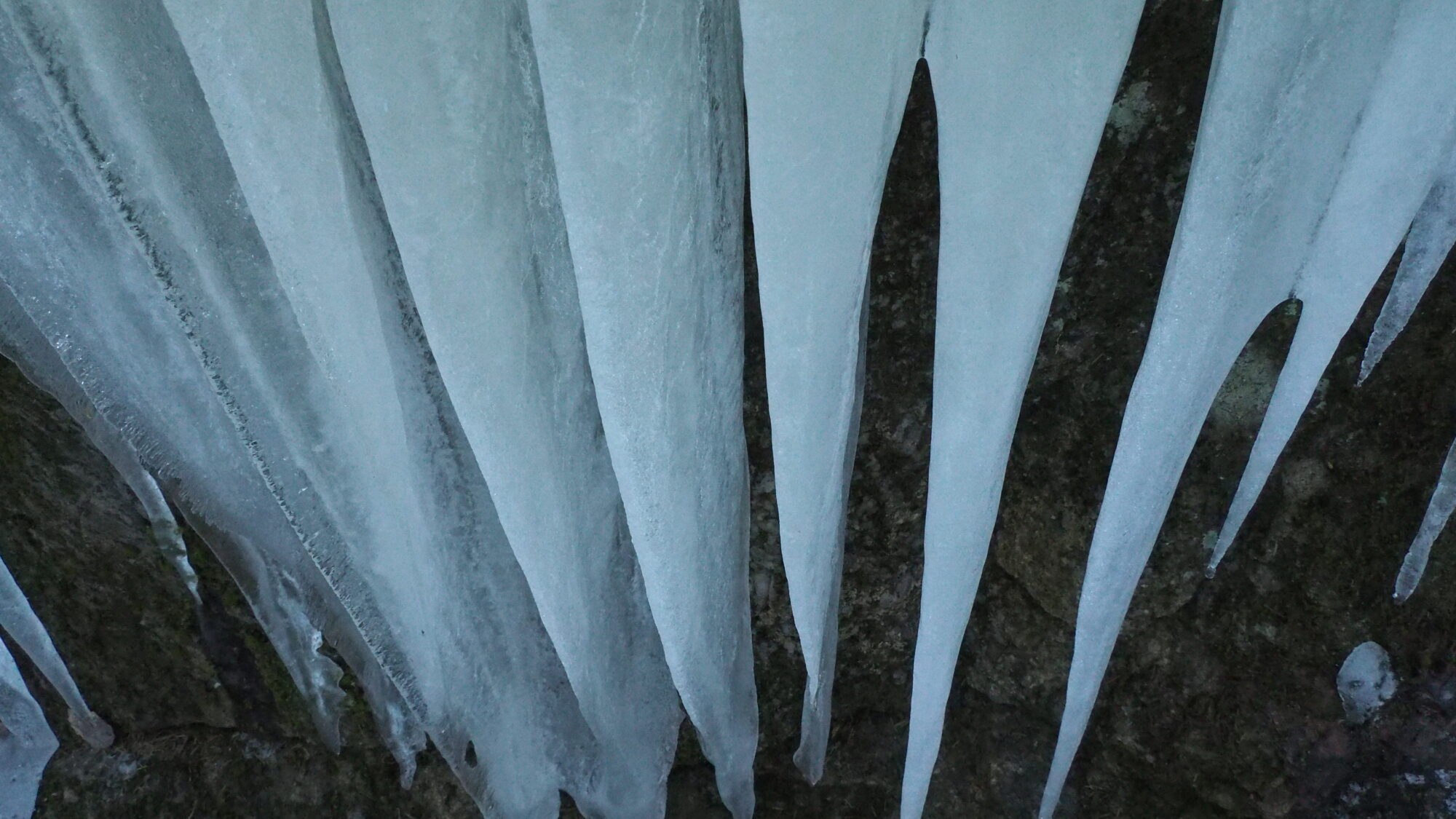 Valokuvaaja: Valtonen Martti