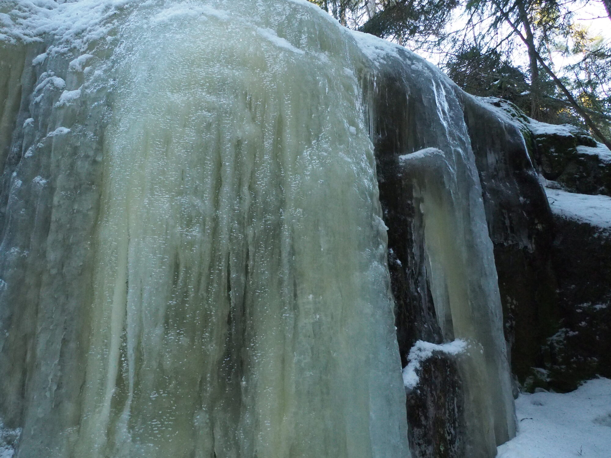 Valokuvaaja: Valtonen Martti