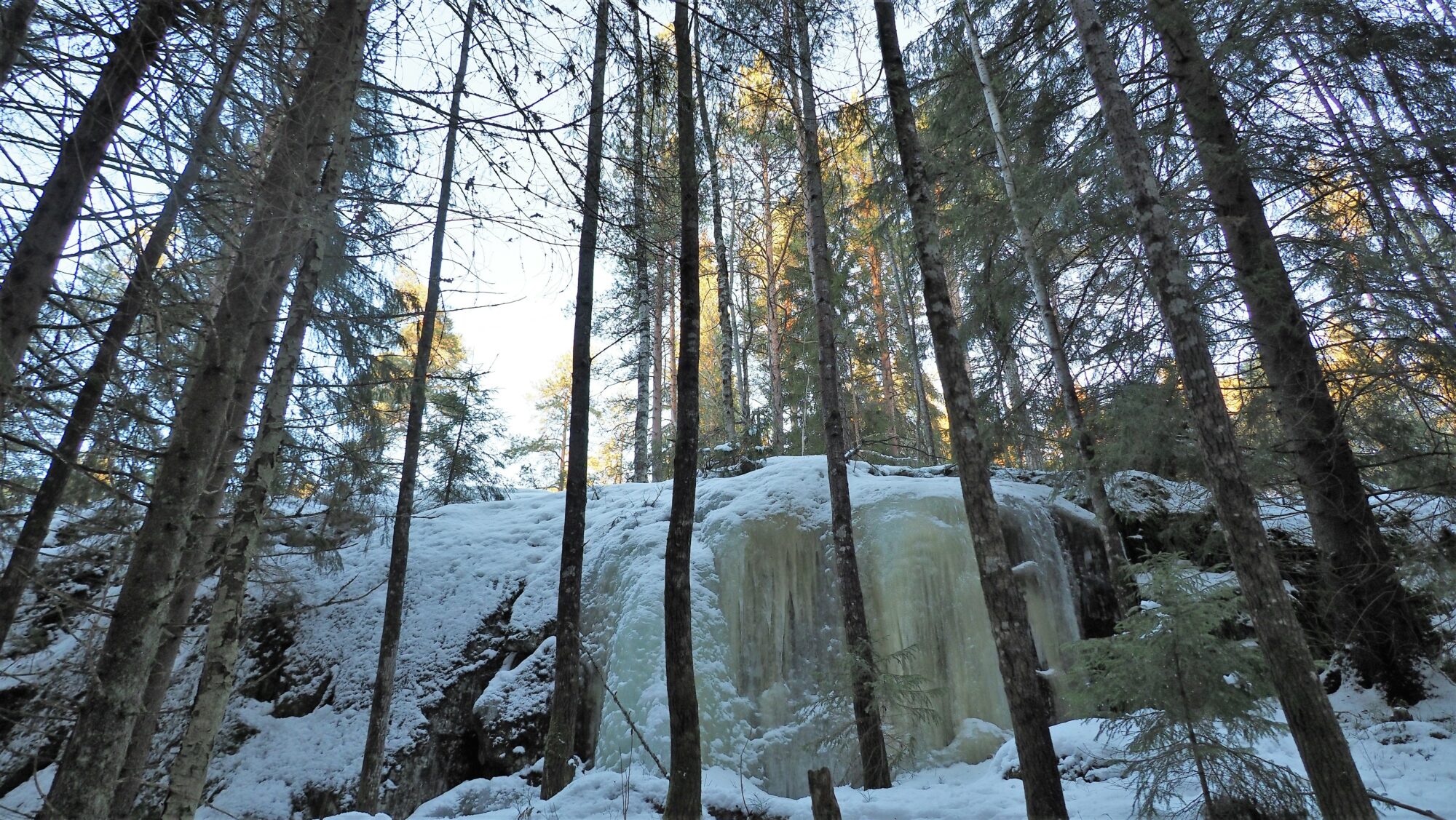 Valokuvaaja: Arja Valtonen