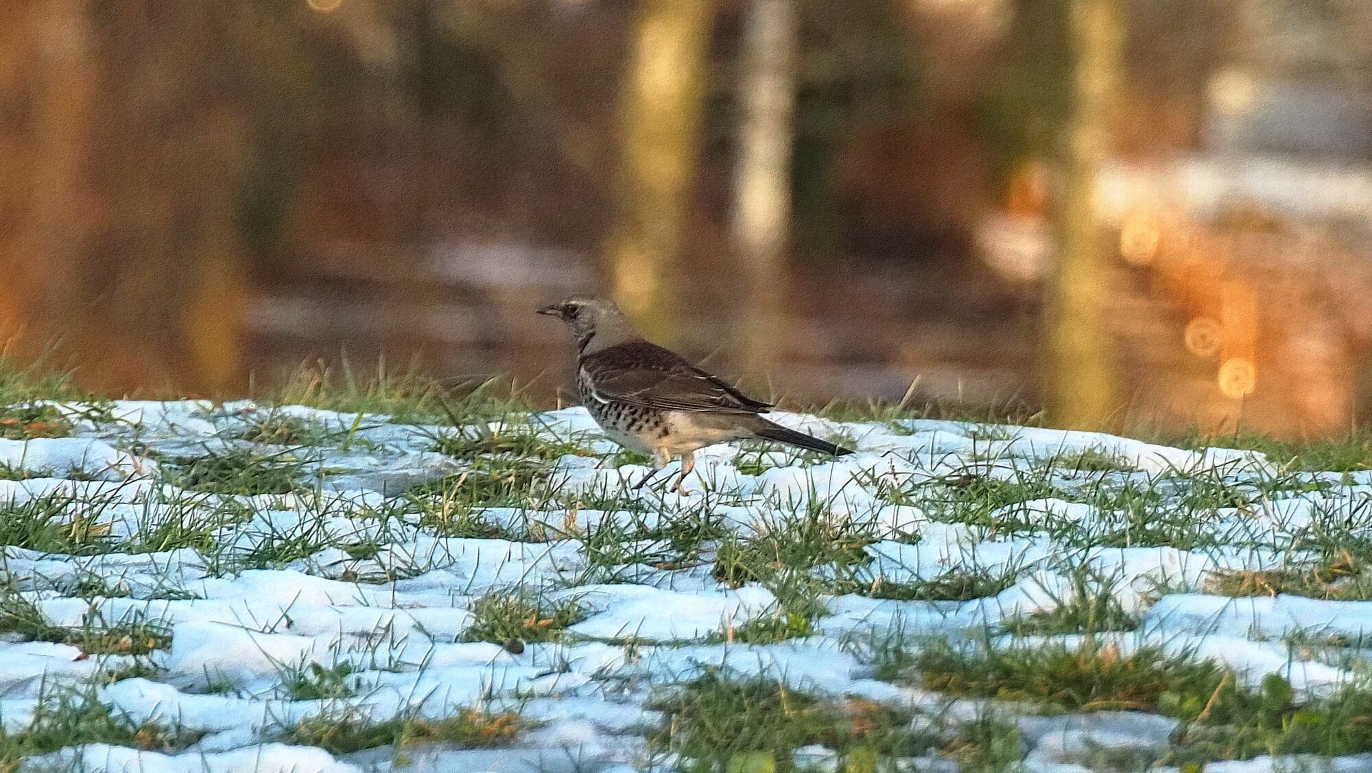Valokuvaaja: Arja Valtonen
