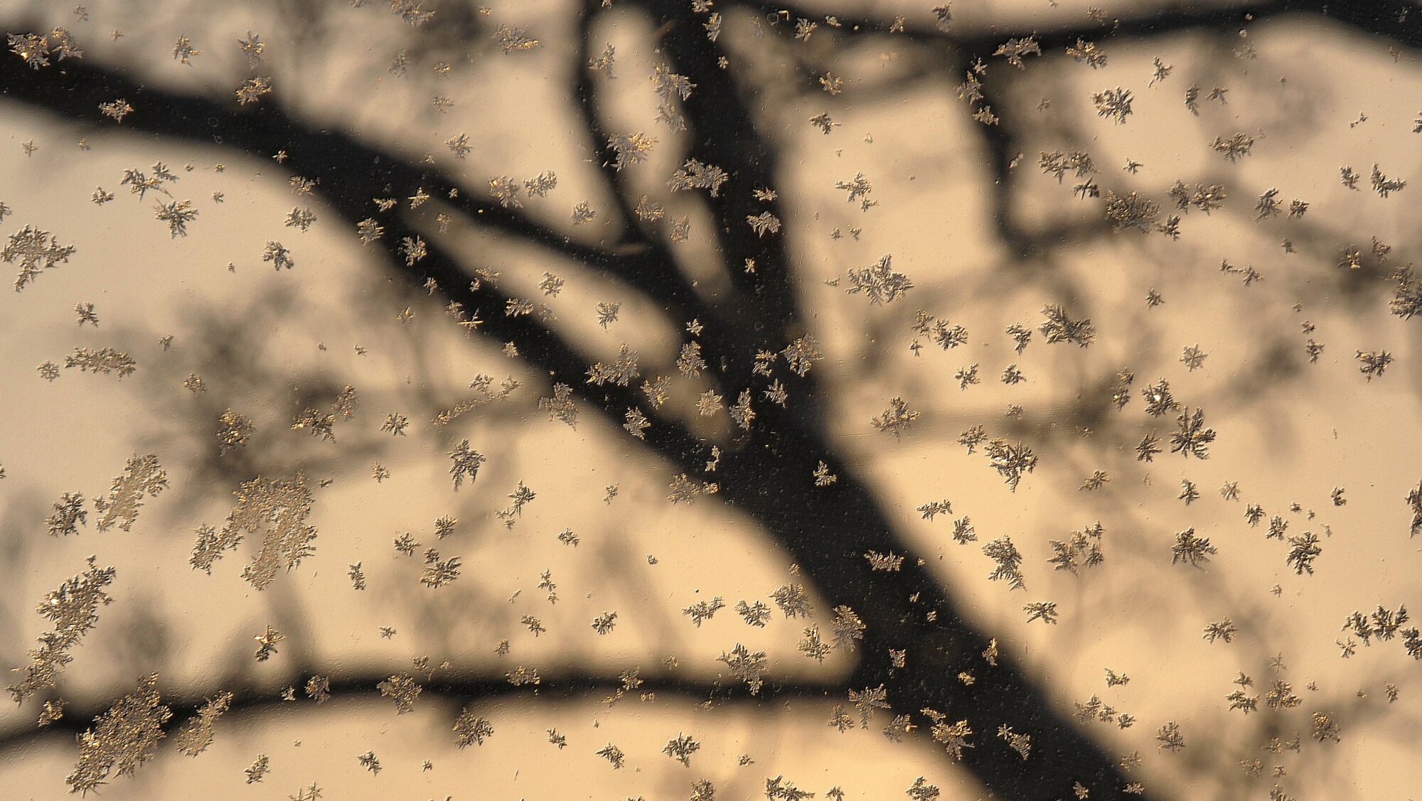 Valokuvaaja: Arja Valtonen