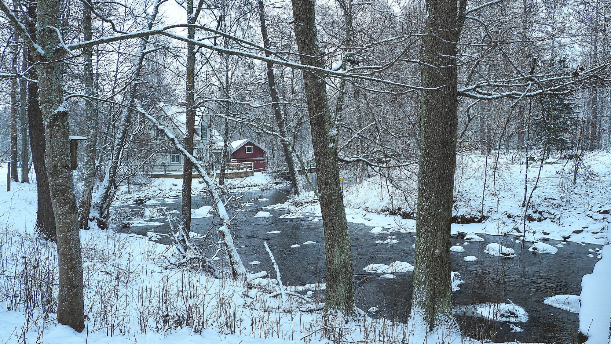 Valokuvaaja: Arja Valtonen