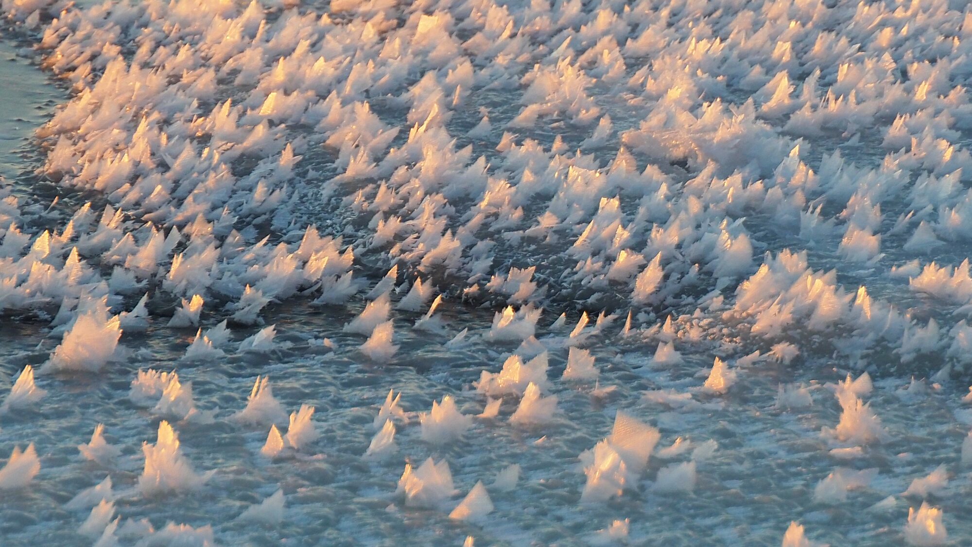 Valokuvaaja: Arja Valtonen Valokuvaaja: Arja Valtonen