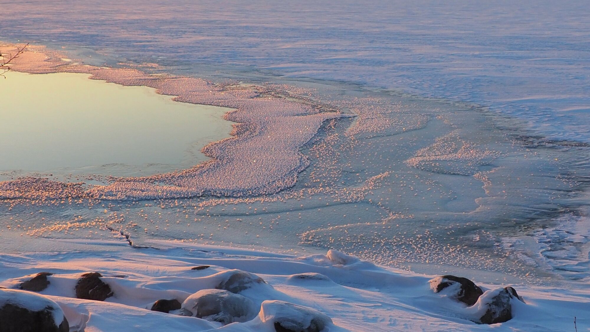 Valokuvaaja: Arja Valtonen Valokuvaaja: Arja Valtonen