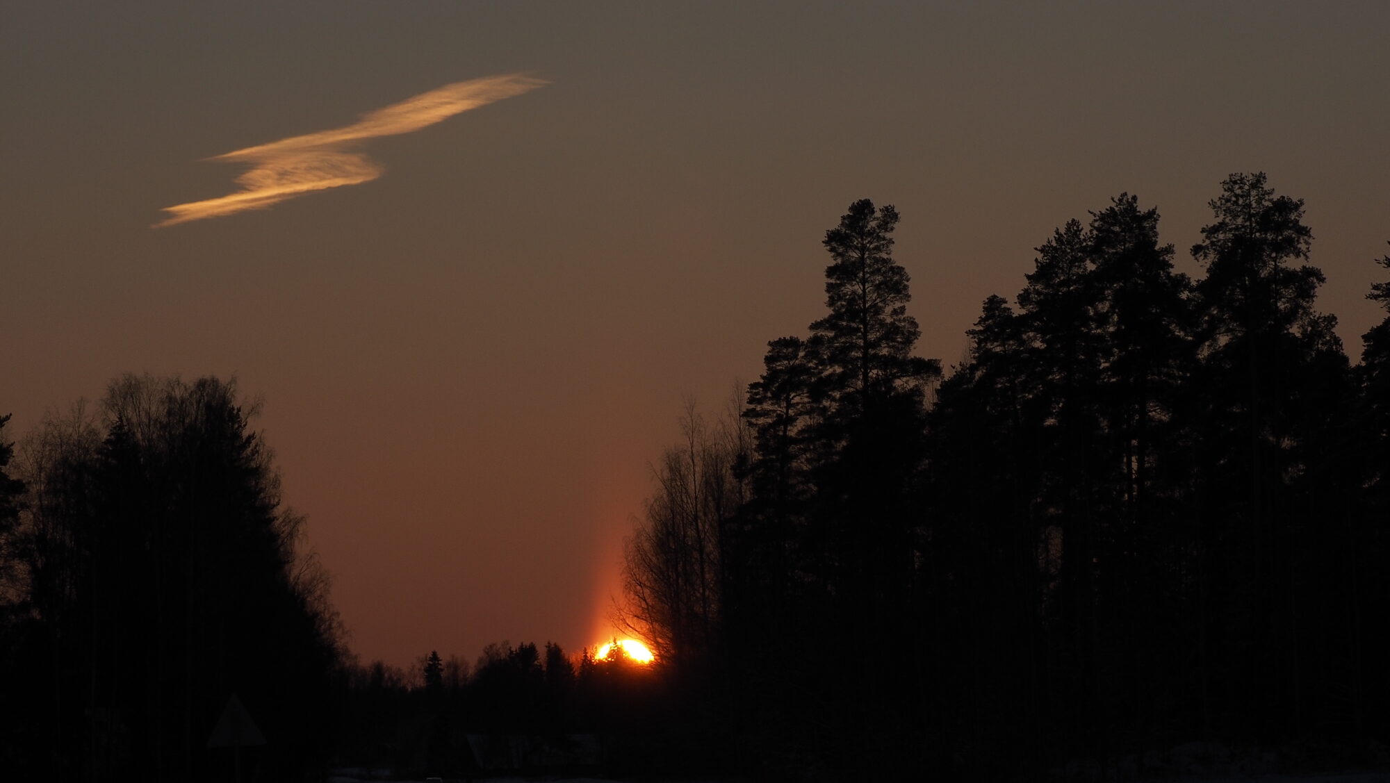 Valokuvaaja: Arja Valtonen